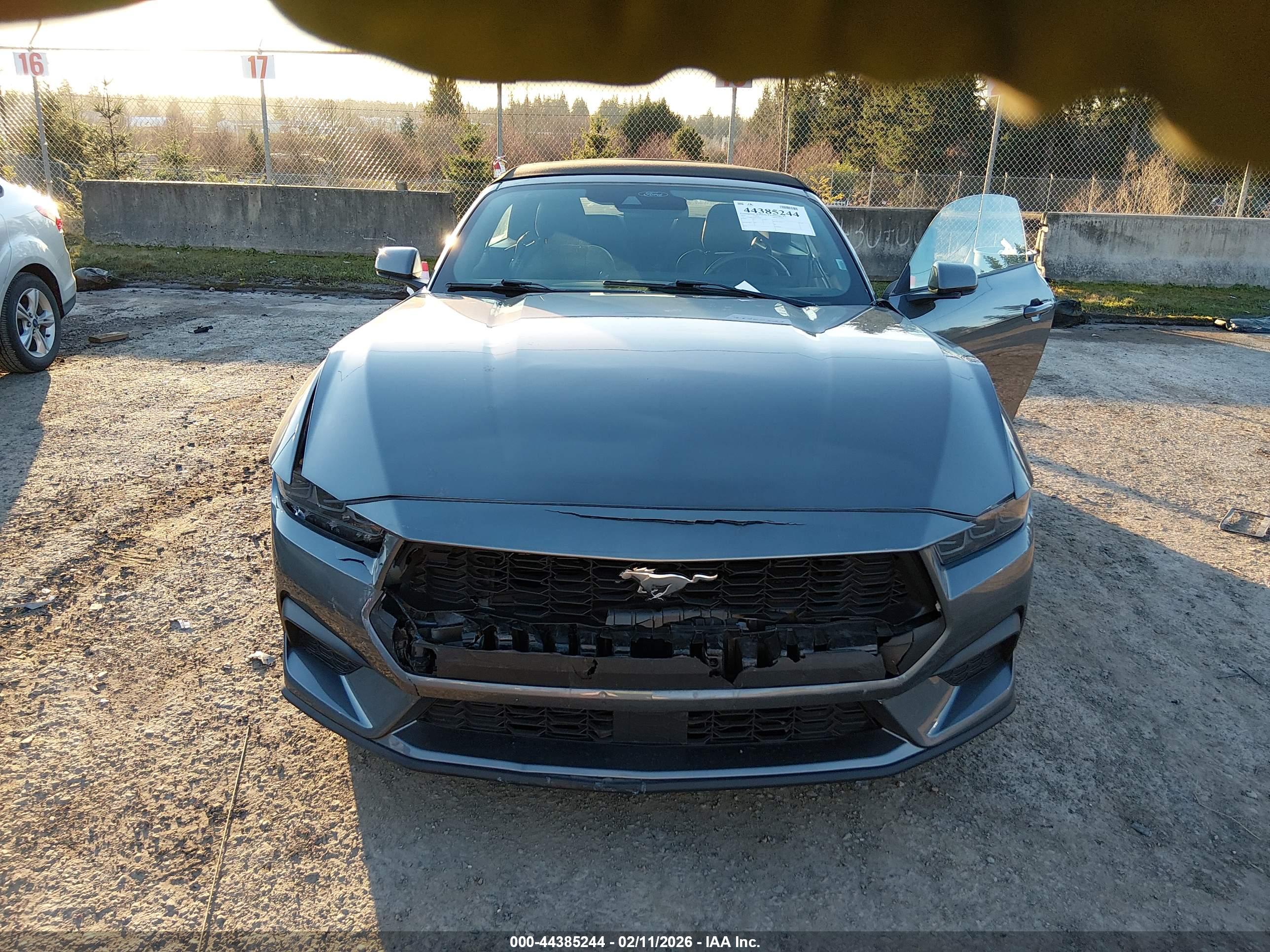 FORD MUSTANG image 6