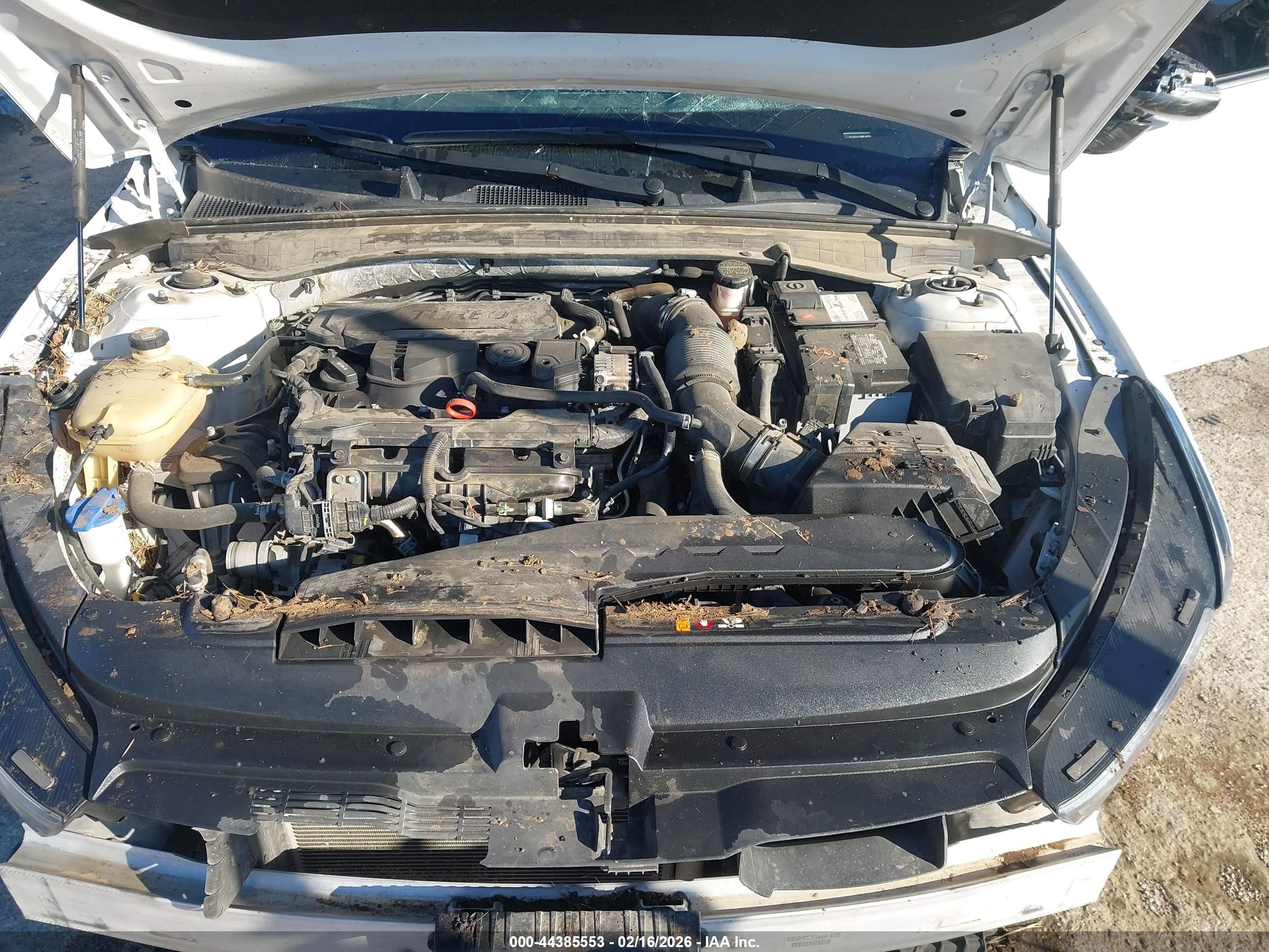 KIA K5 image 10