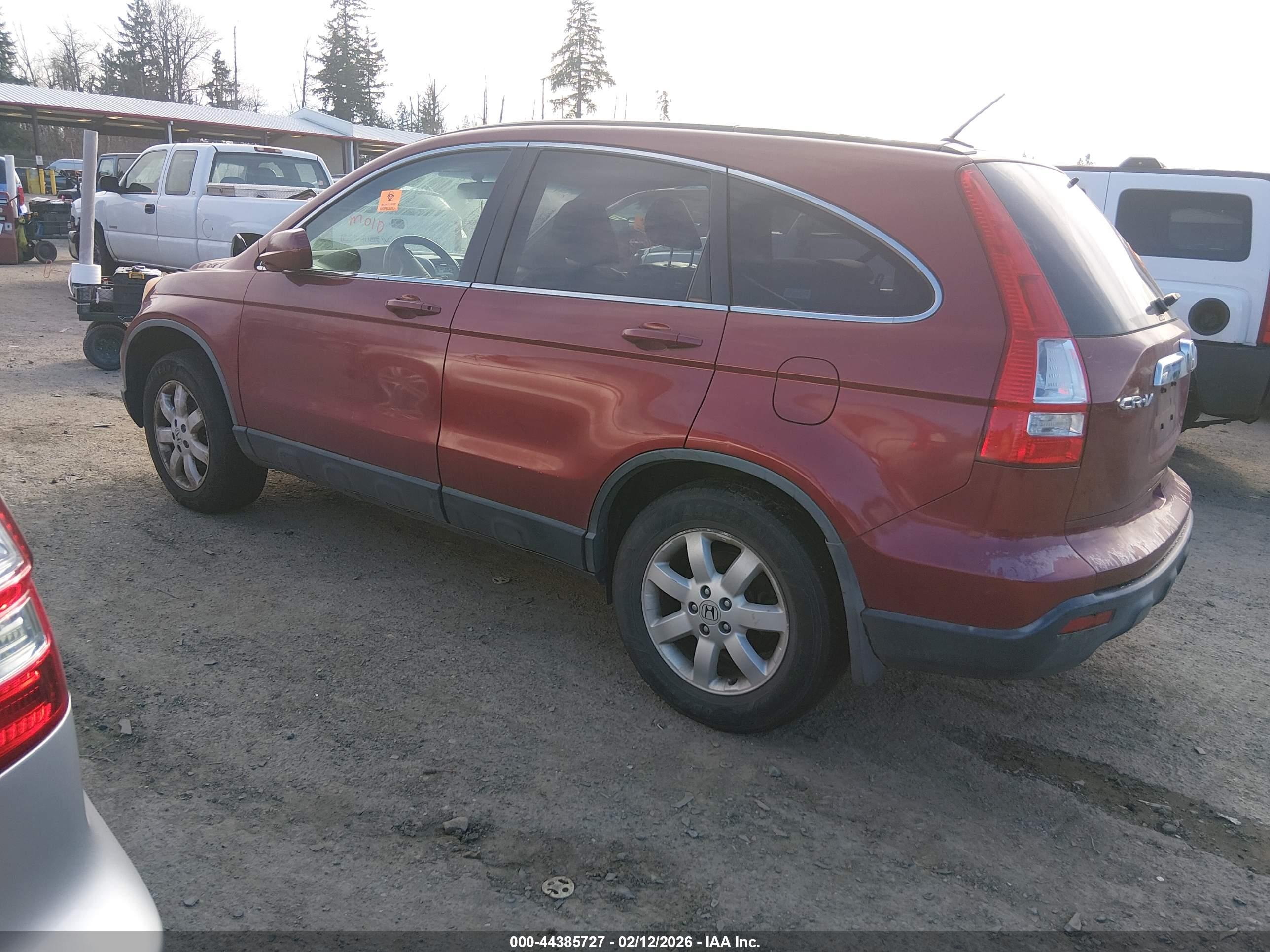 HONDA CR-V image 3