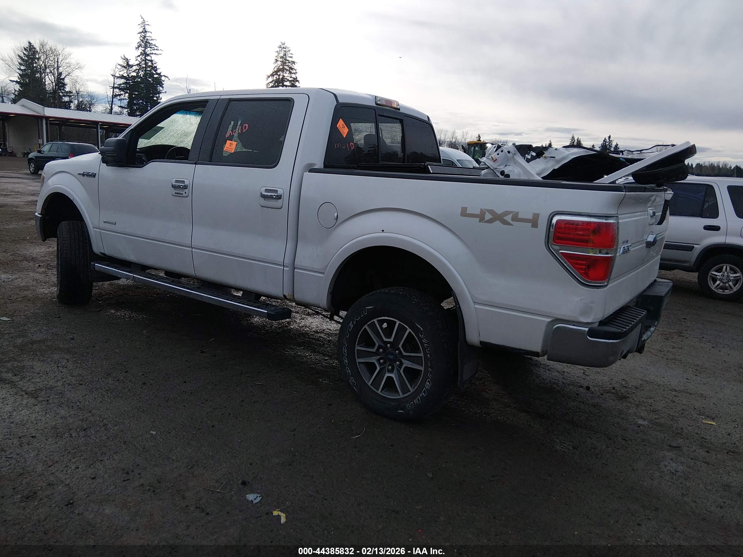FORD F-150 image 3