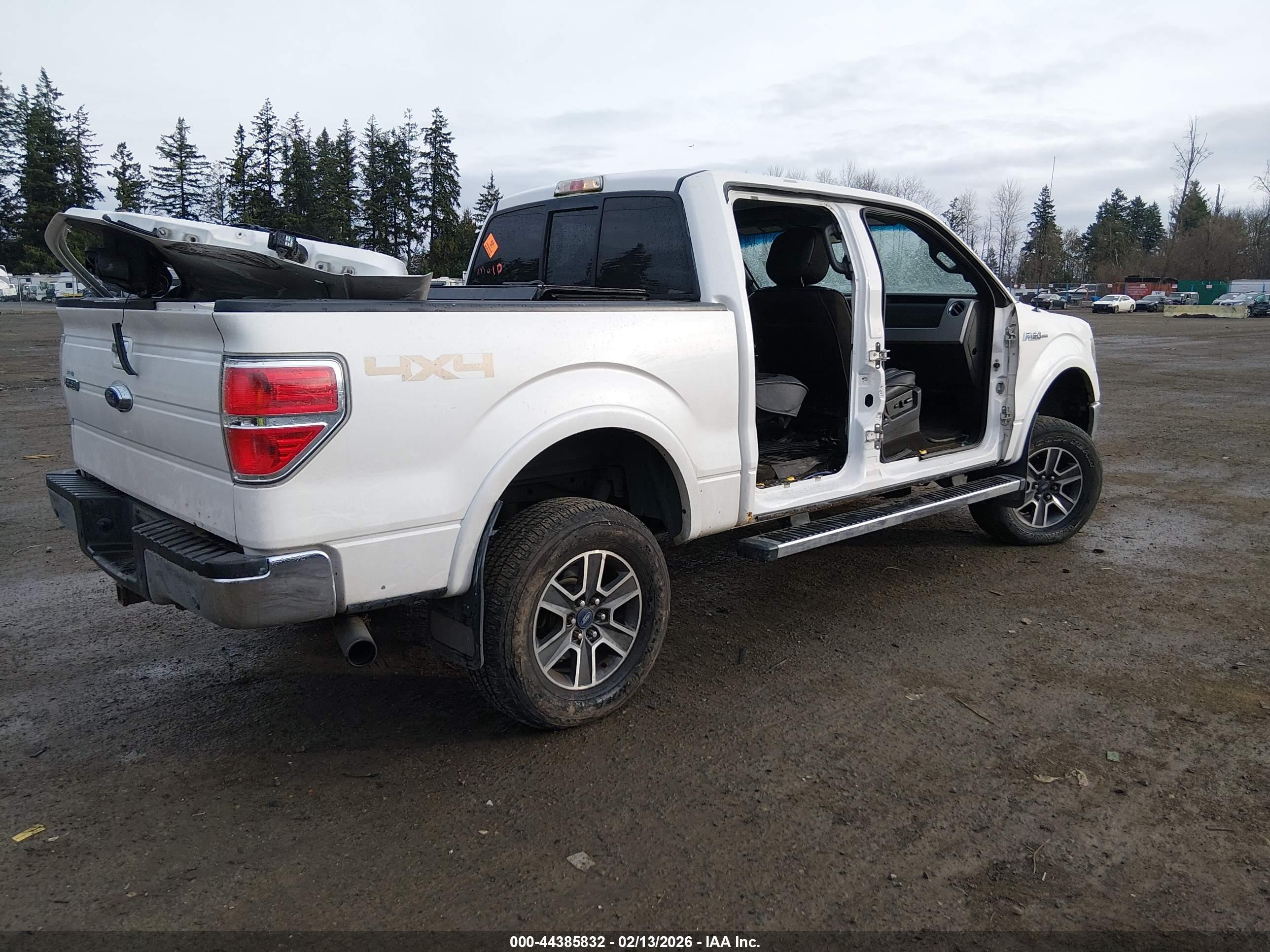 FORD F-150 image 4