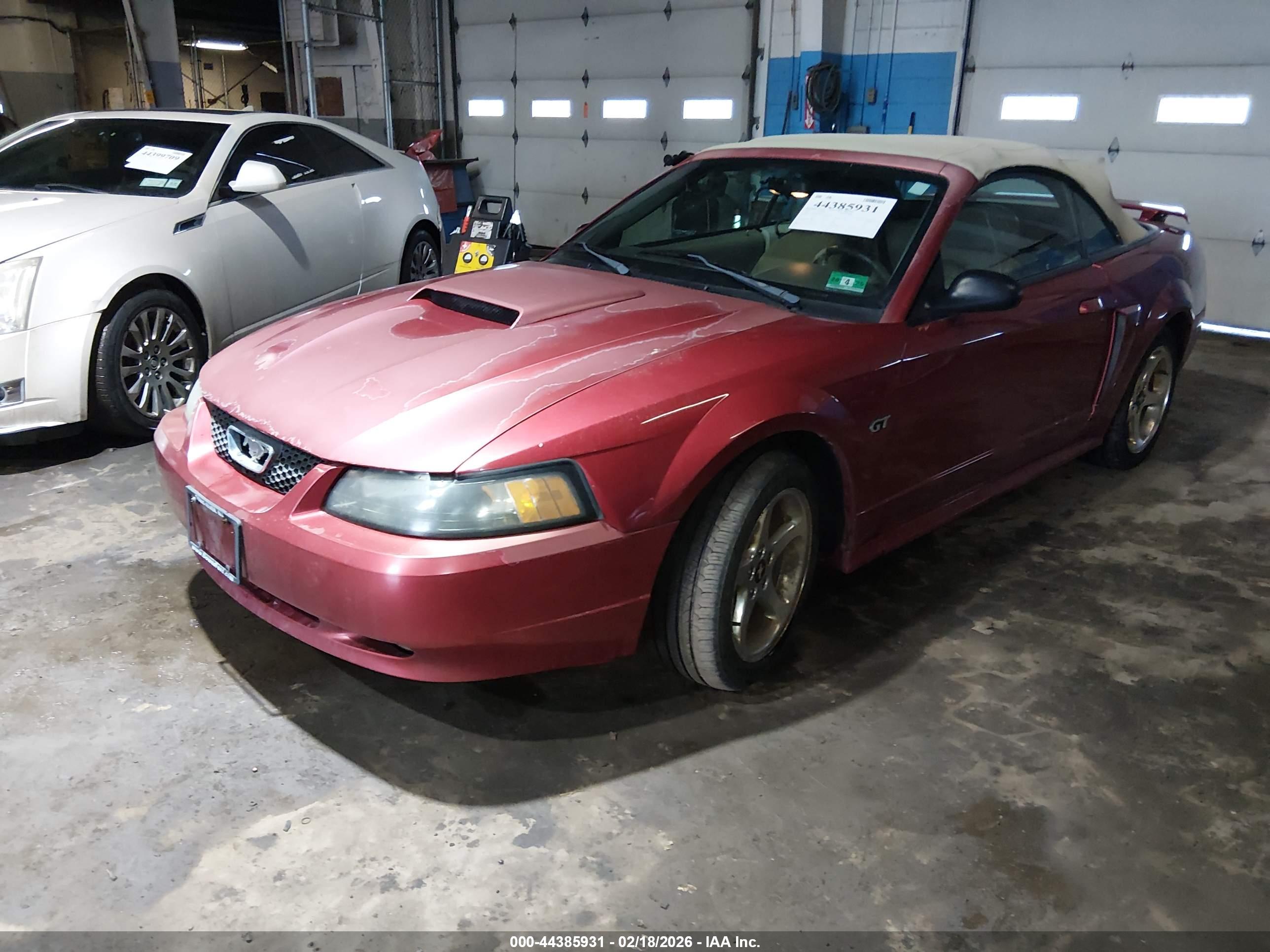 FORD MUSTANG image 2
