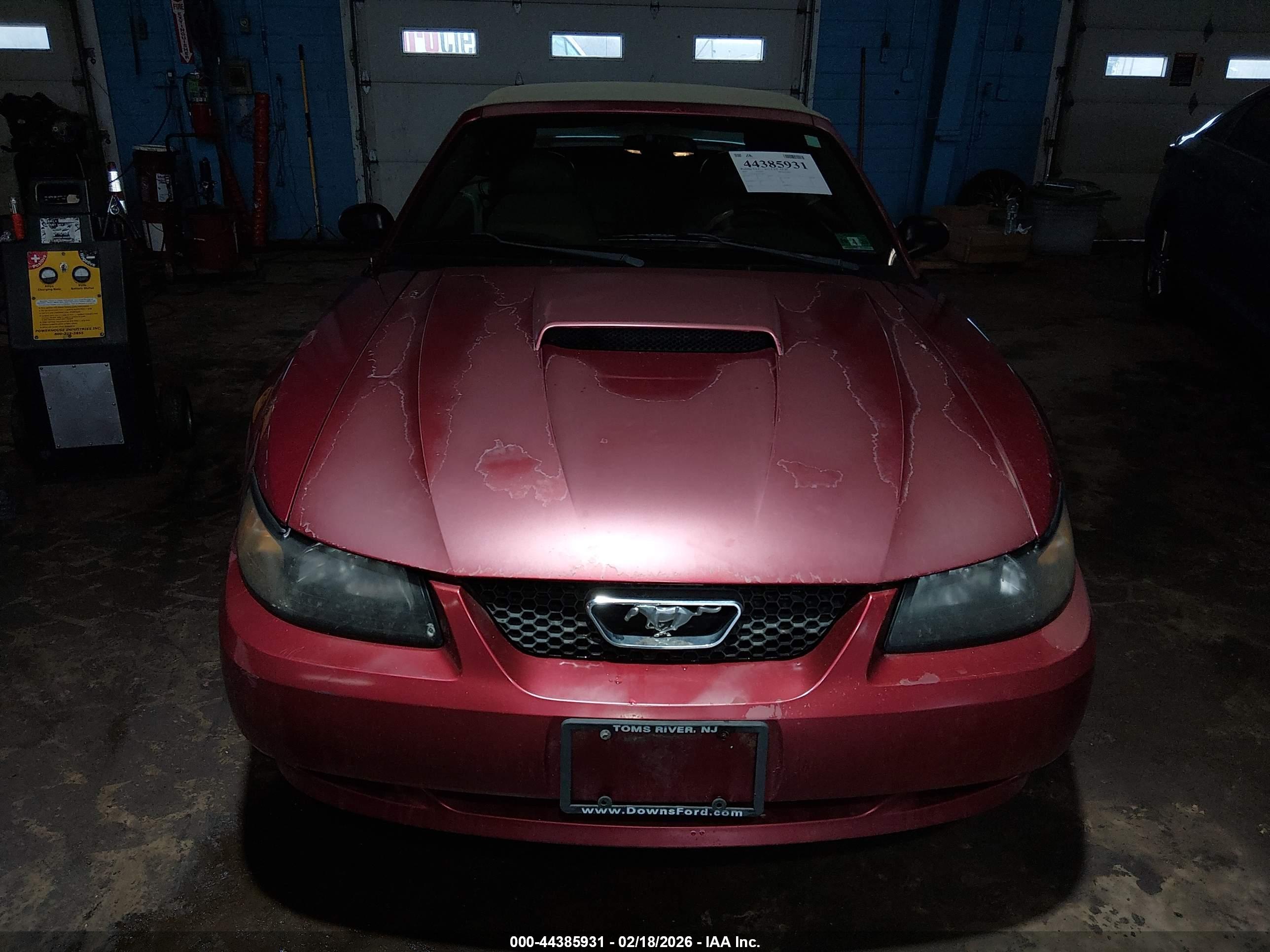 FORD MUSTANG image 6