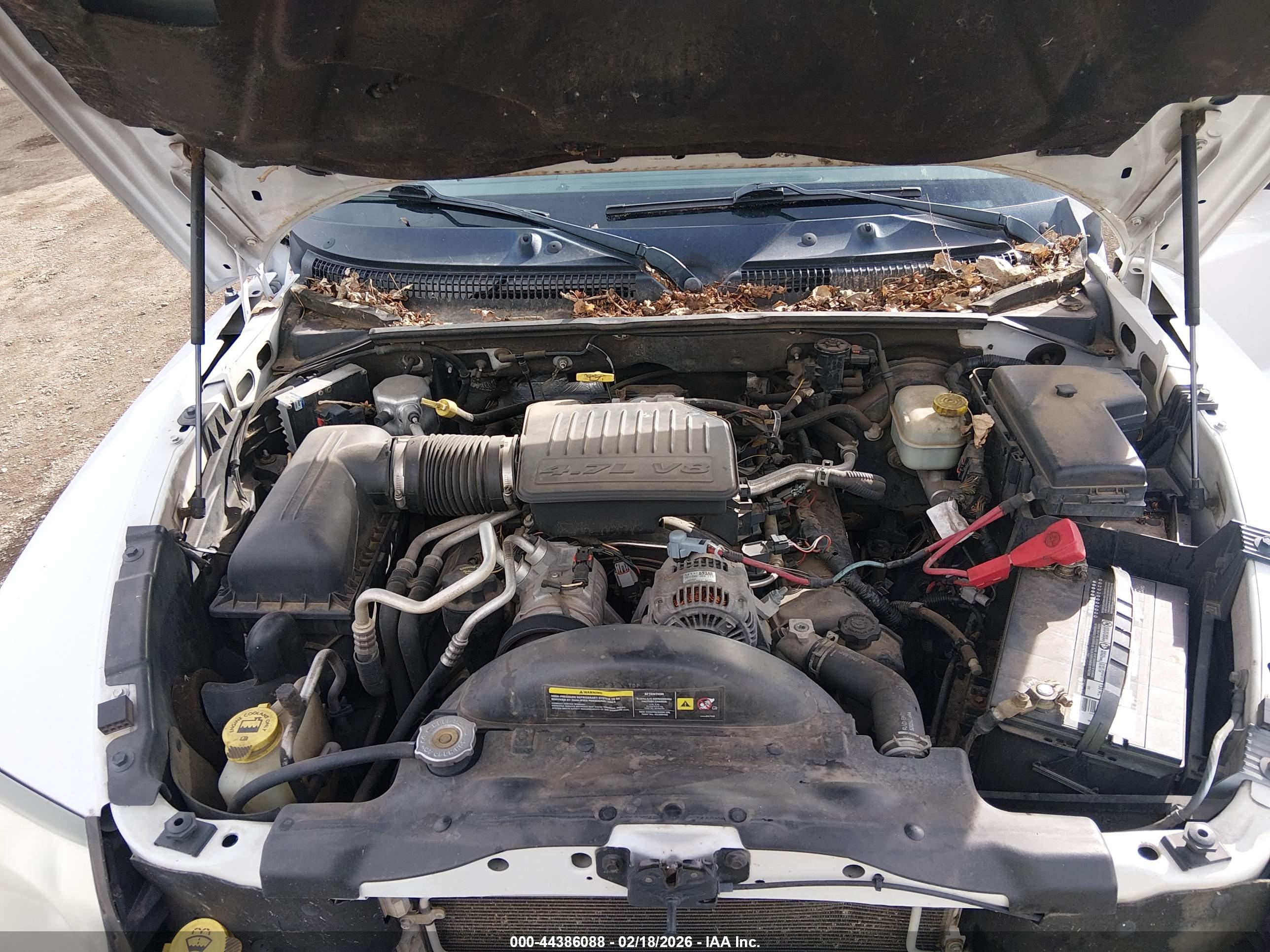 DODGE DAKOTA image 10