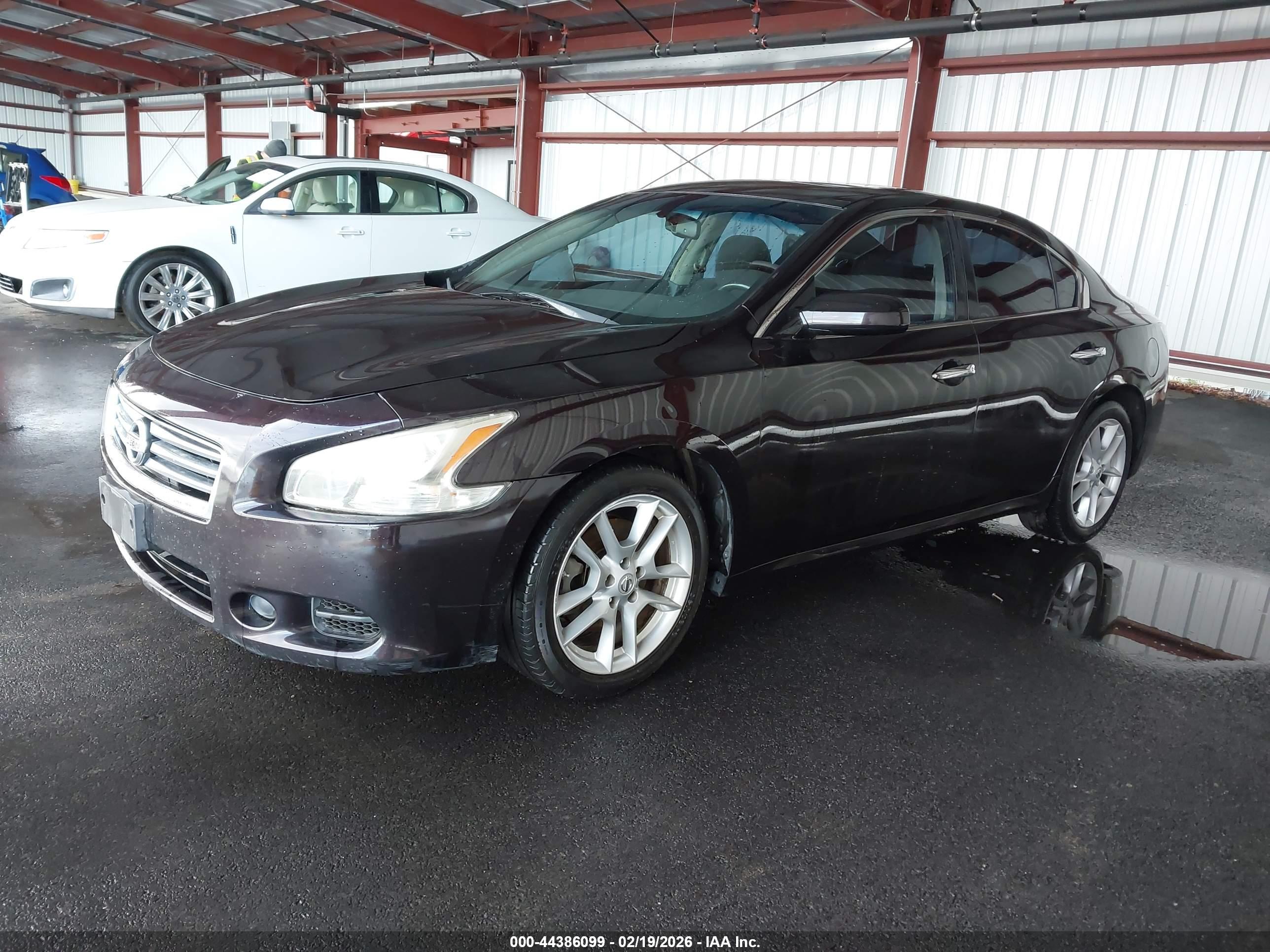 NISSAN MAXIMA image 2