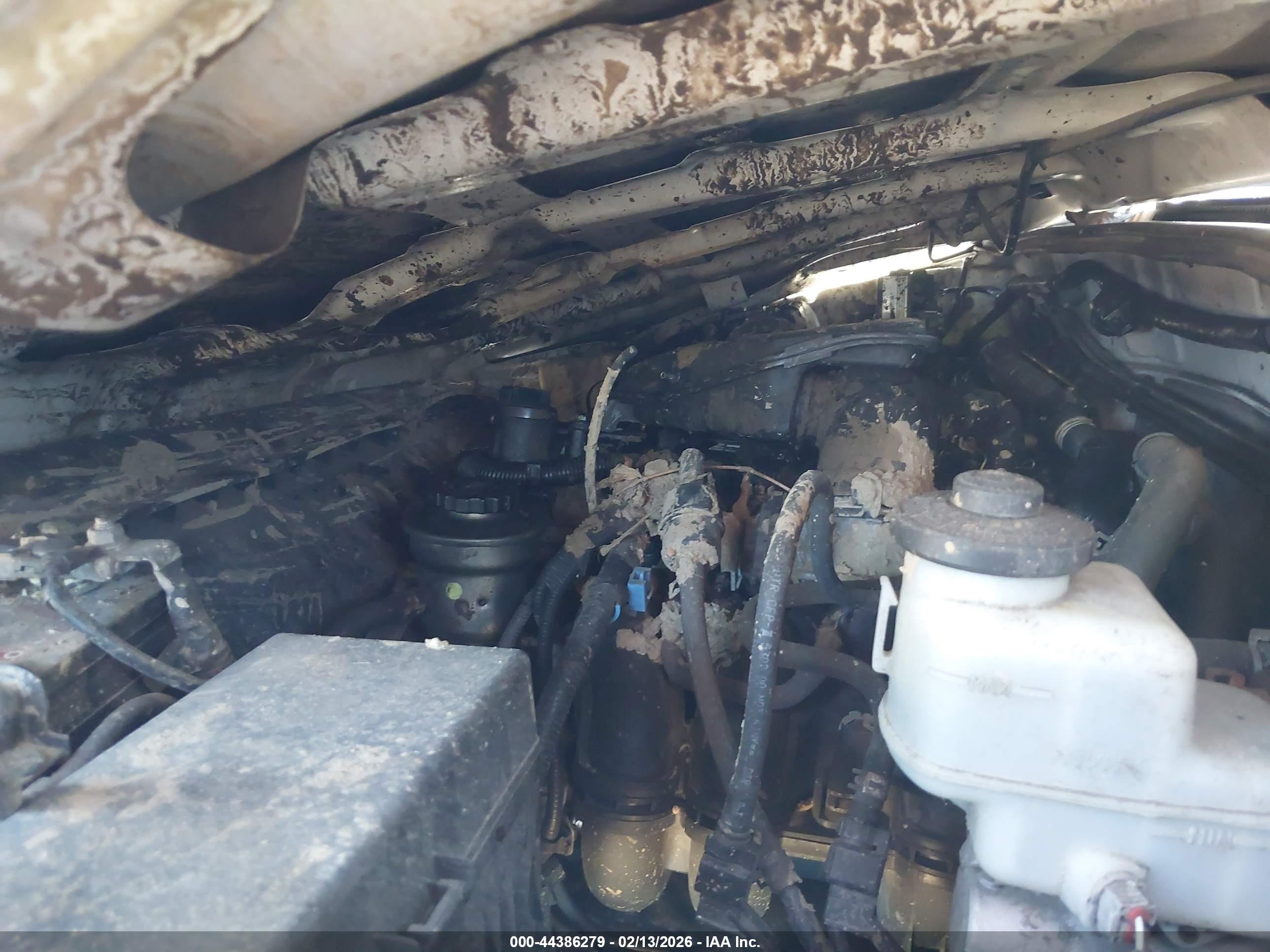 TOYOTA TACOMA image 10