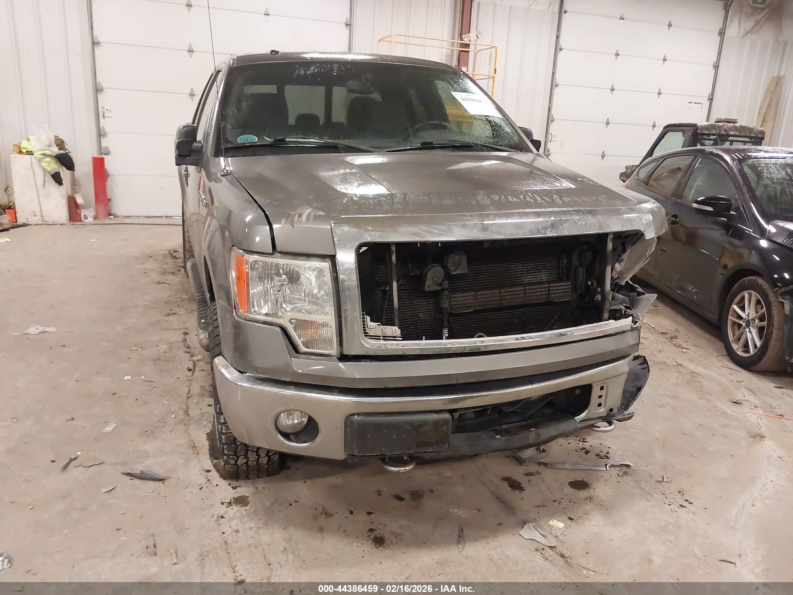FORD F-150 image 6