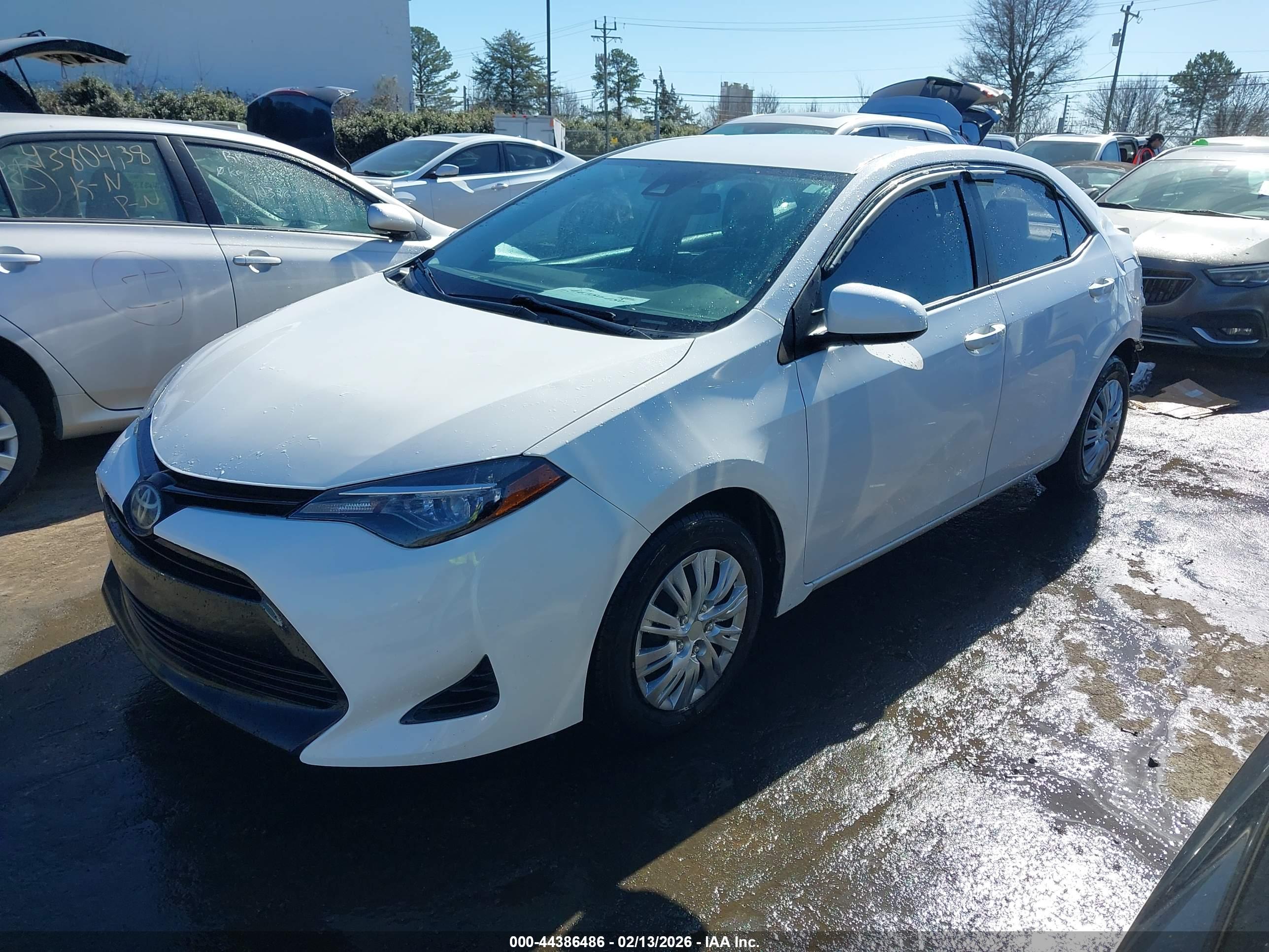 TOYOTA COROLLA image 2