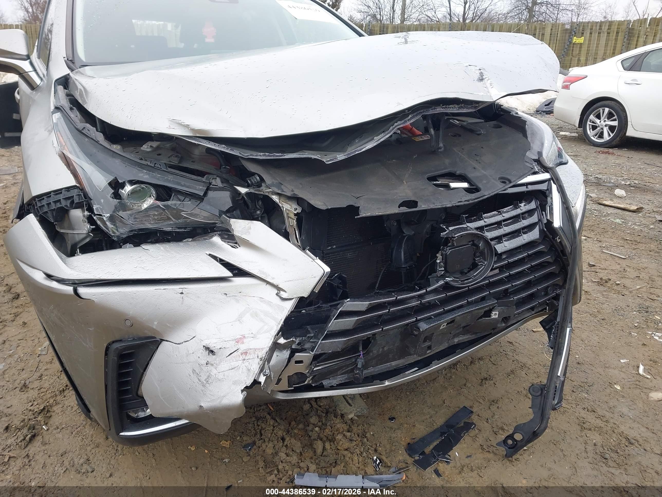 LEXUS NX image 6