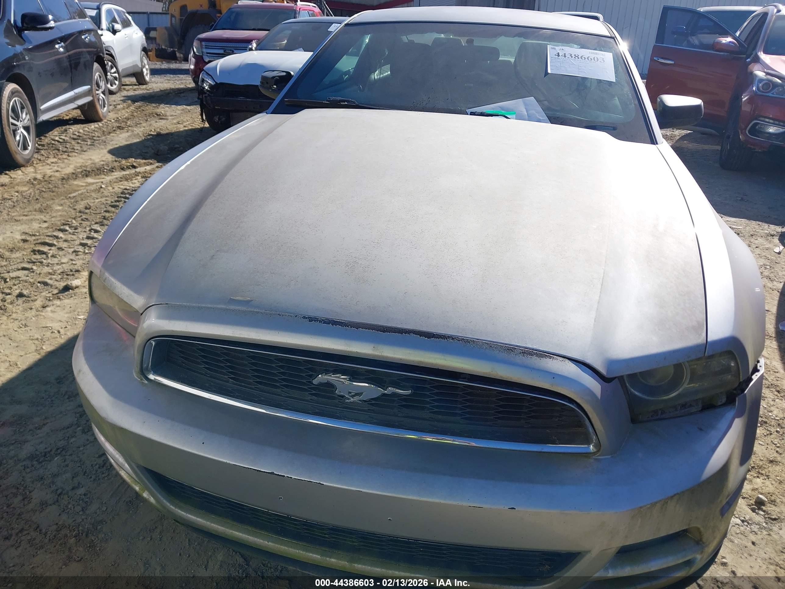 FORD MUSTANG image 10