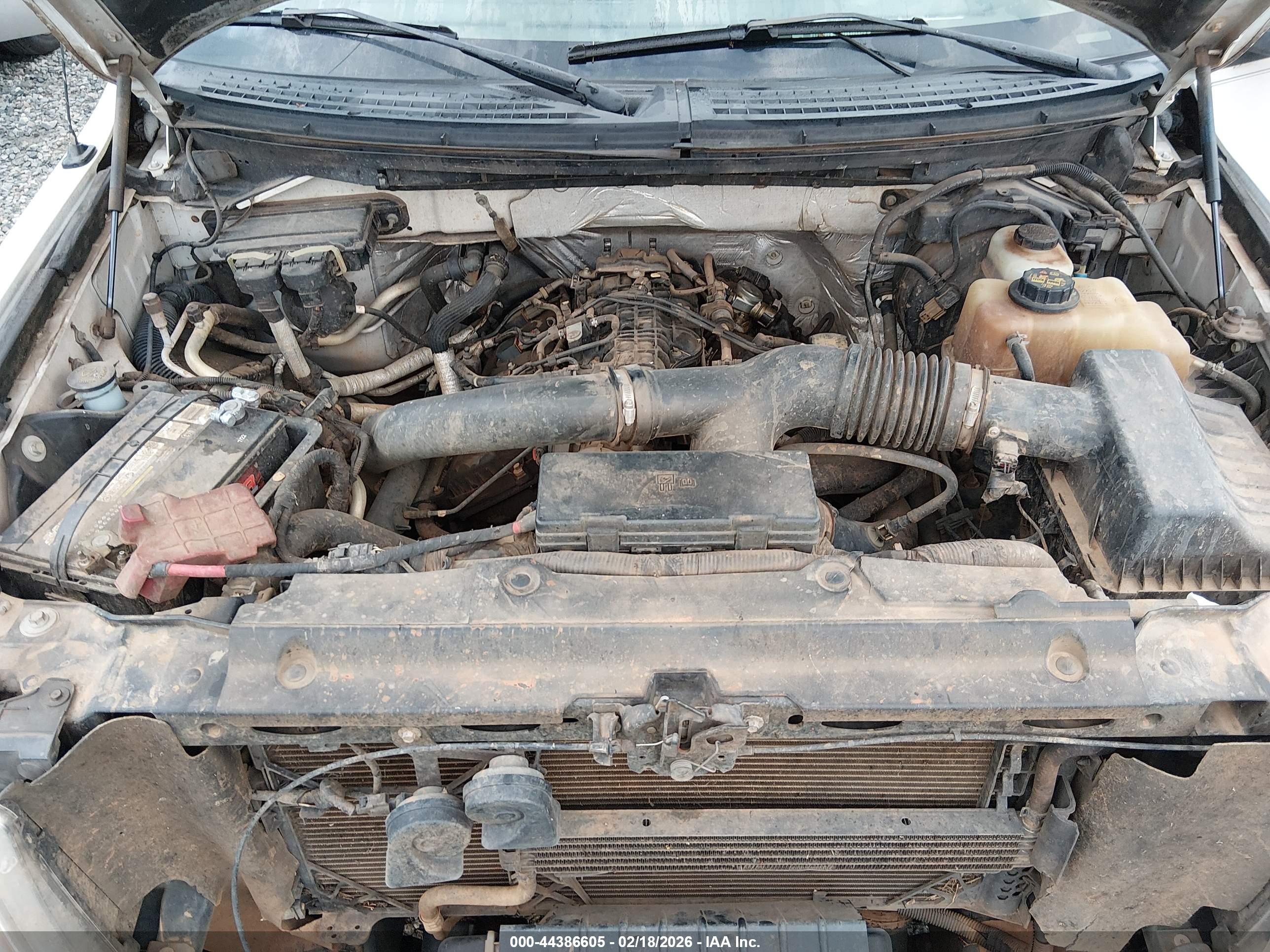 FORD F-150 image 10