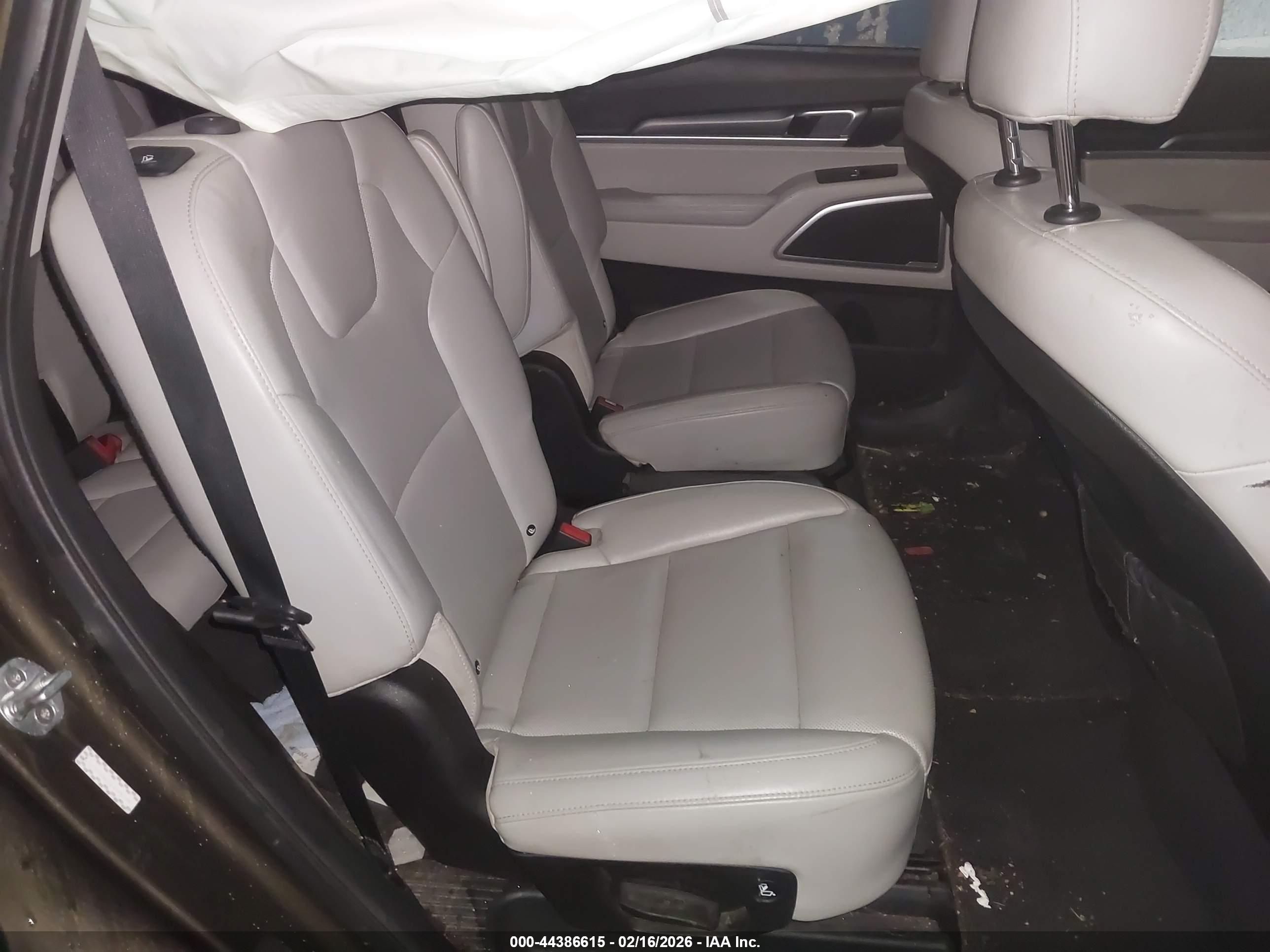 KIA TELLURIDE image 8