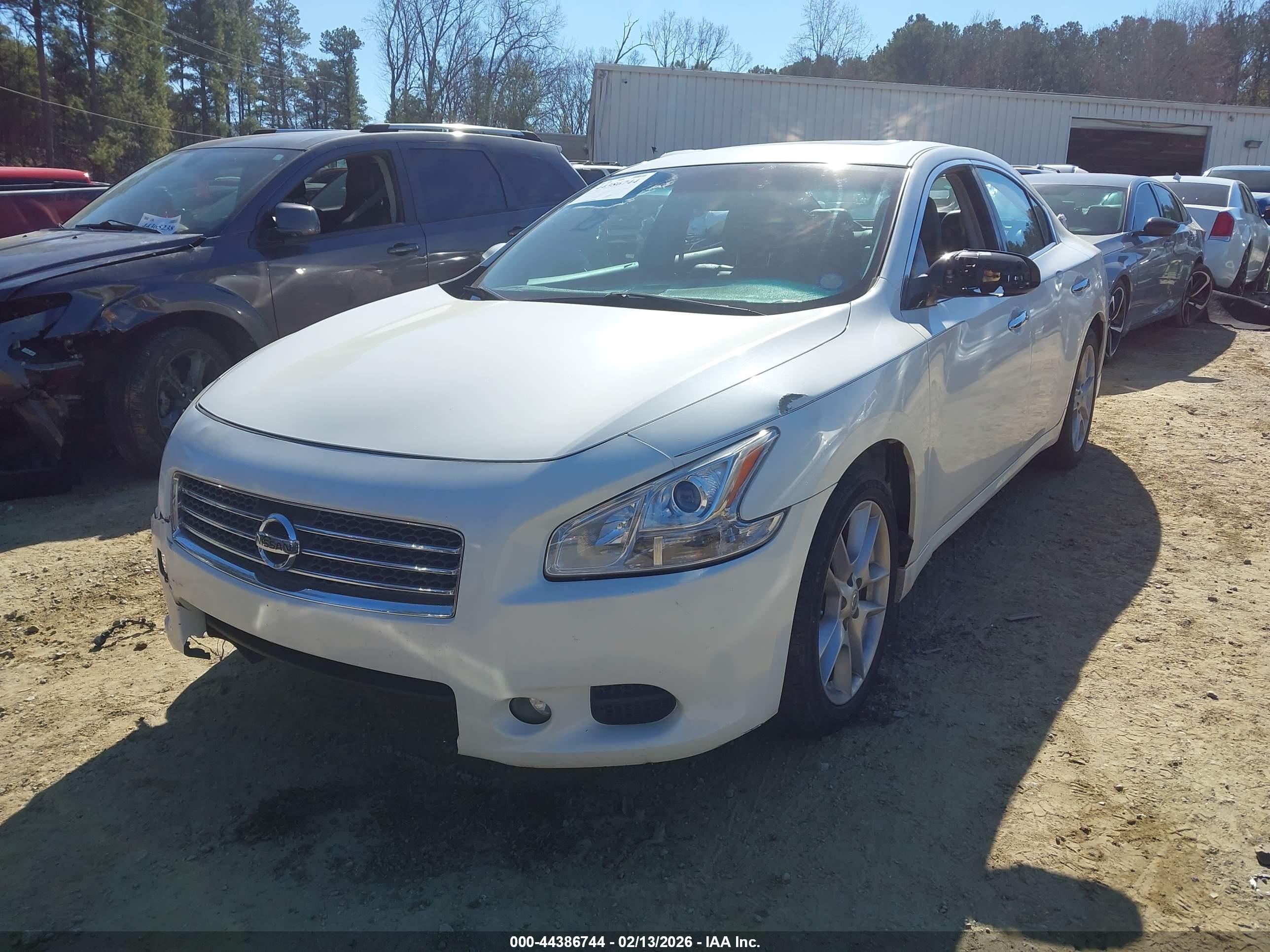 NISSAN MAXIMA image 2