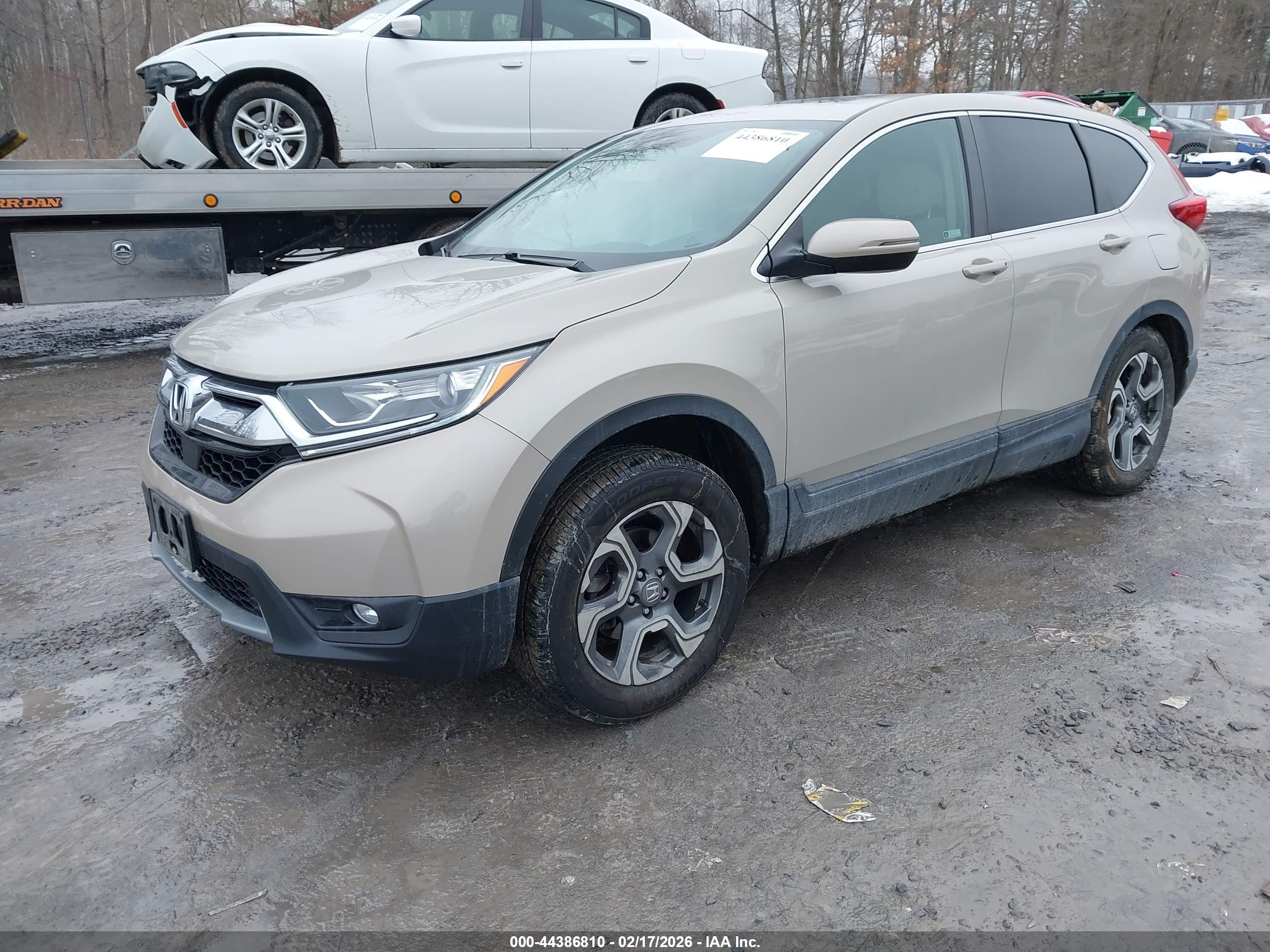 HONDA CR-V image 2