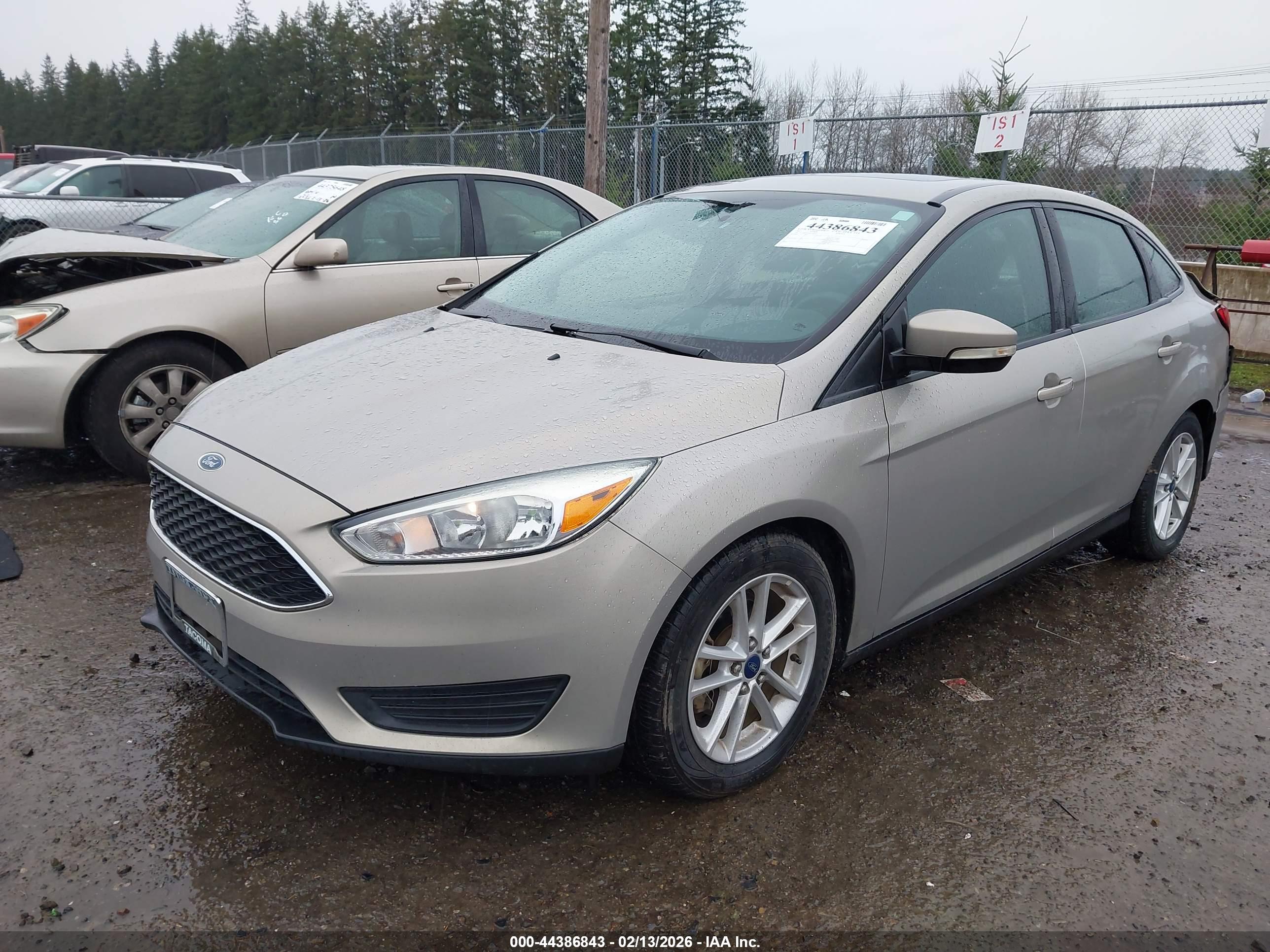 FORD FOCUS image 2