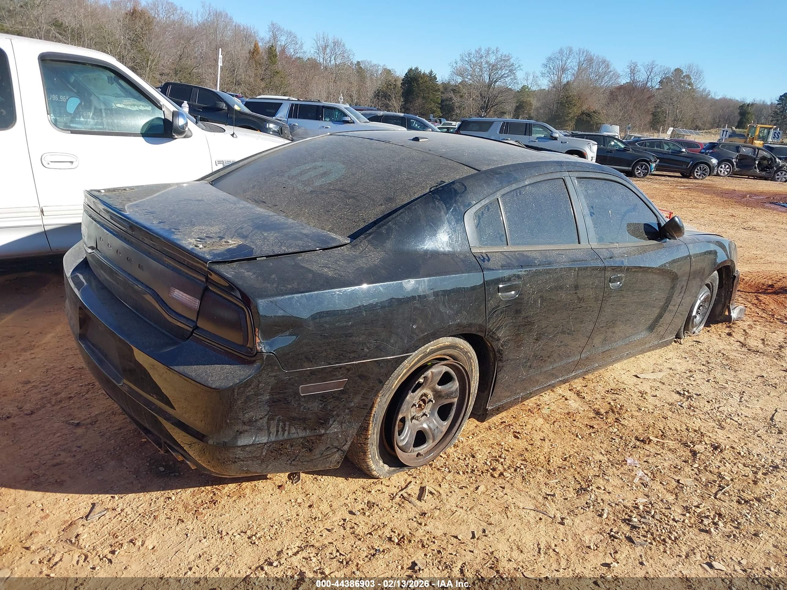 DODGE CHARGER image 4