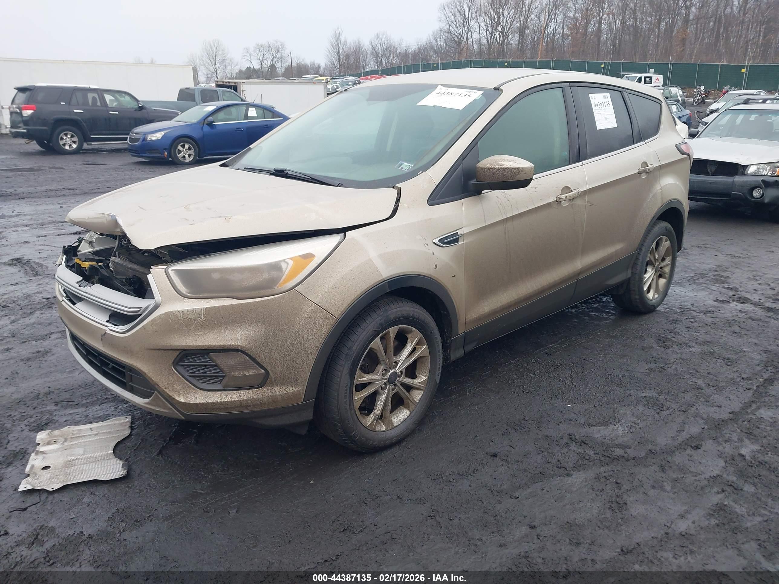 FORD ESCAPE image 2