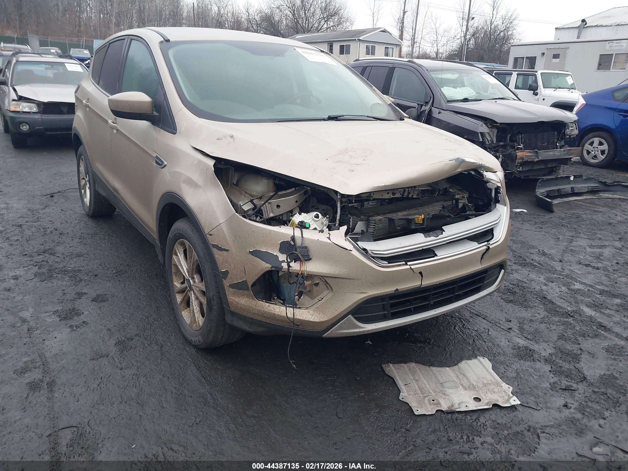 FORD ESCAPE image 6