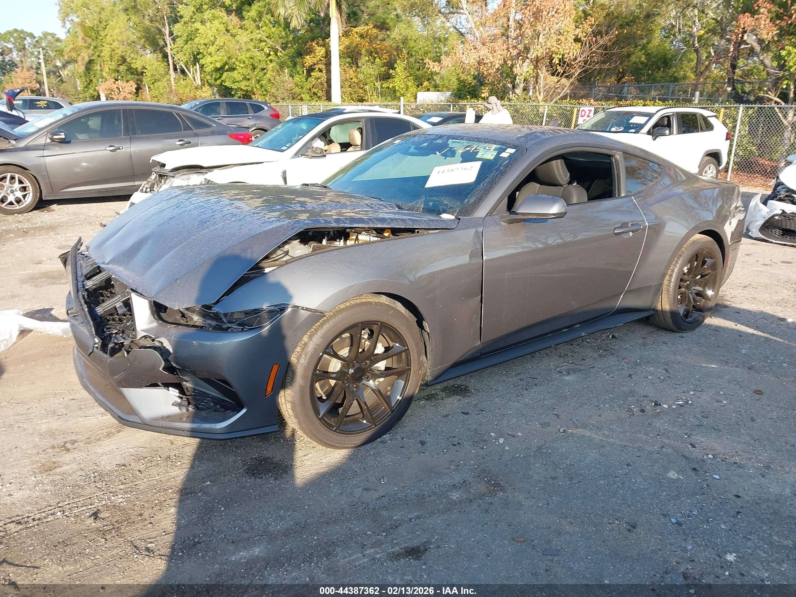 FORD MUSTANG image 2
