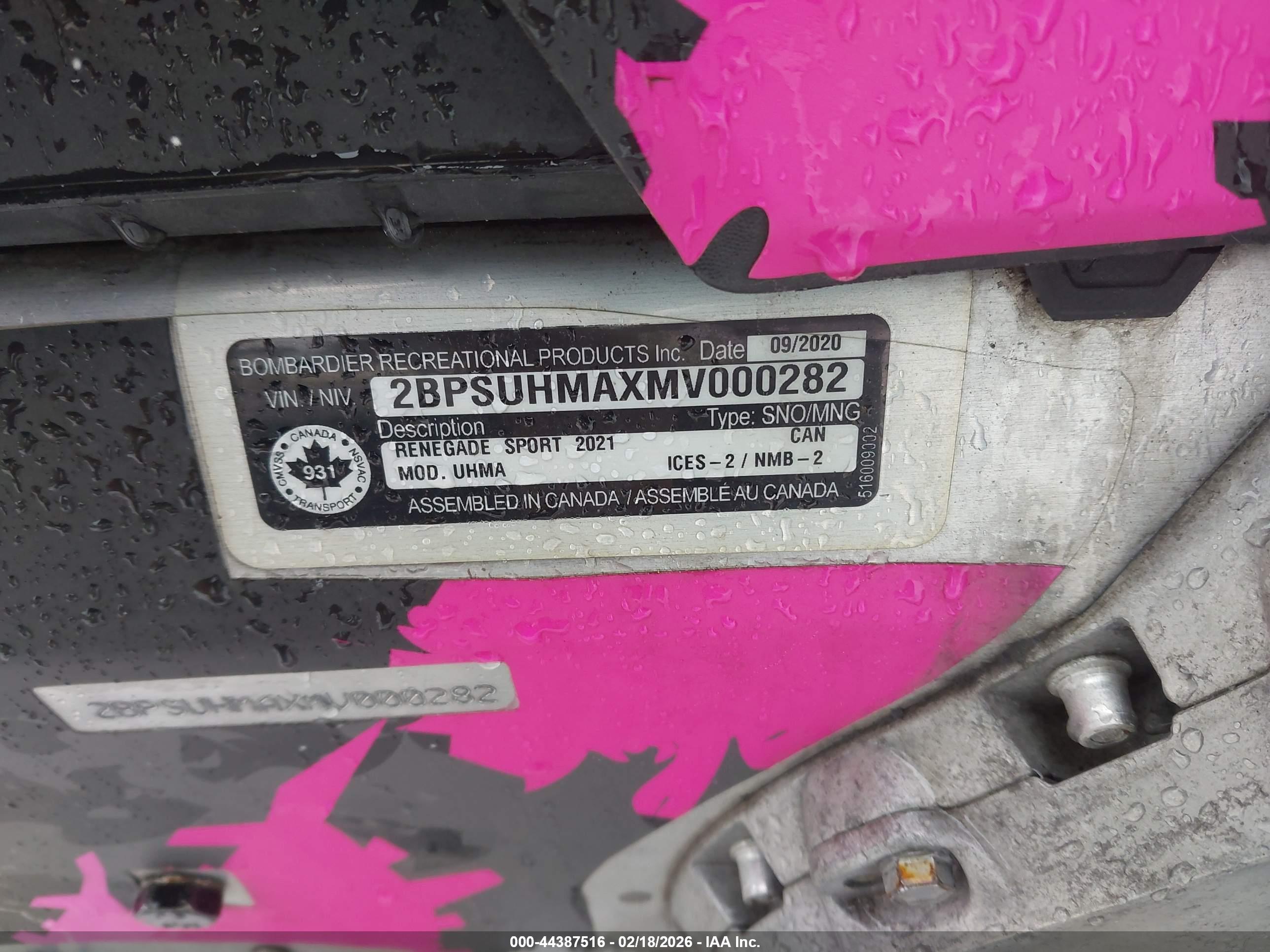 SKI DOO image 9
