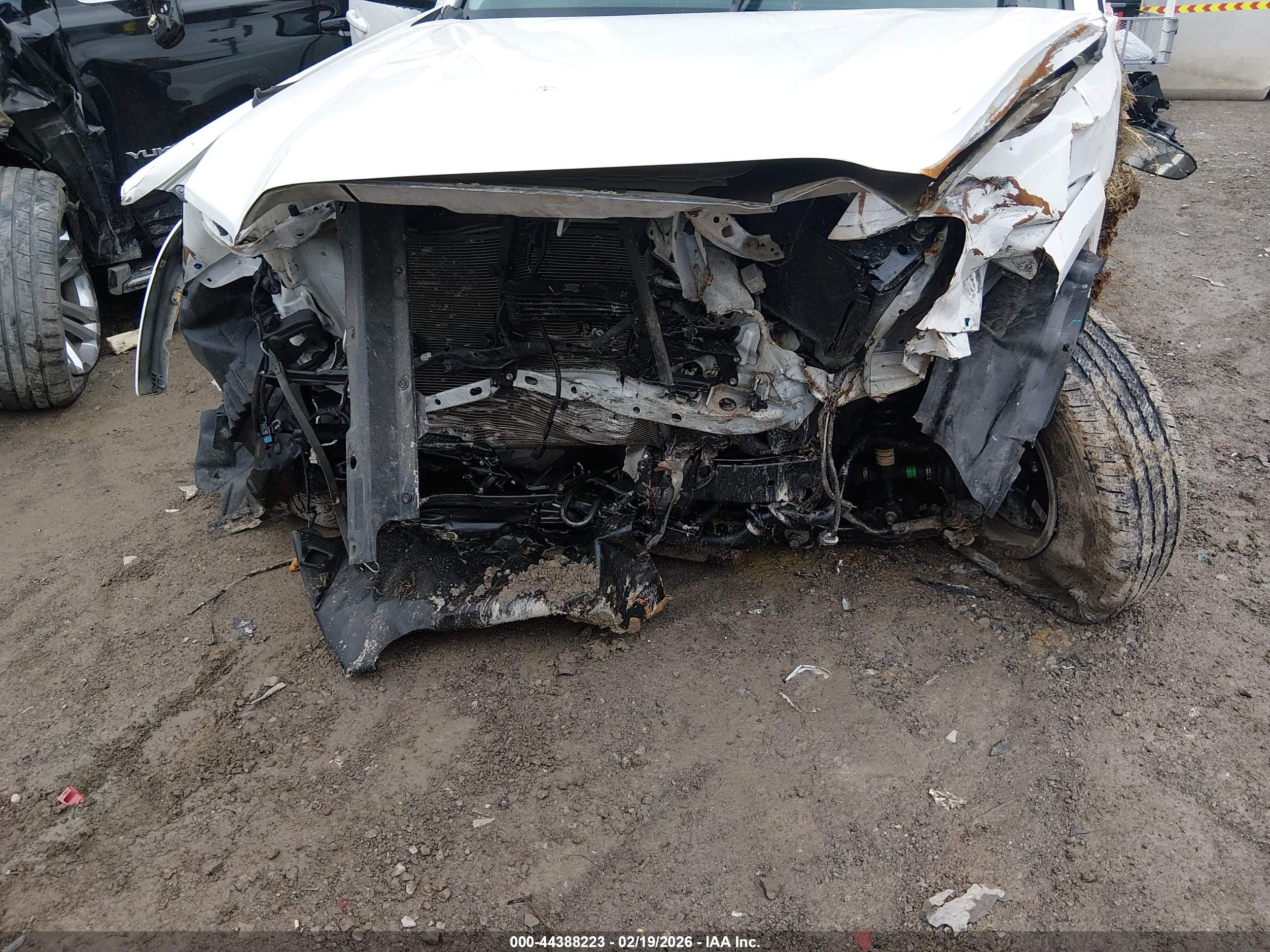 TOYOTA TACOMA image 6