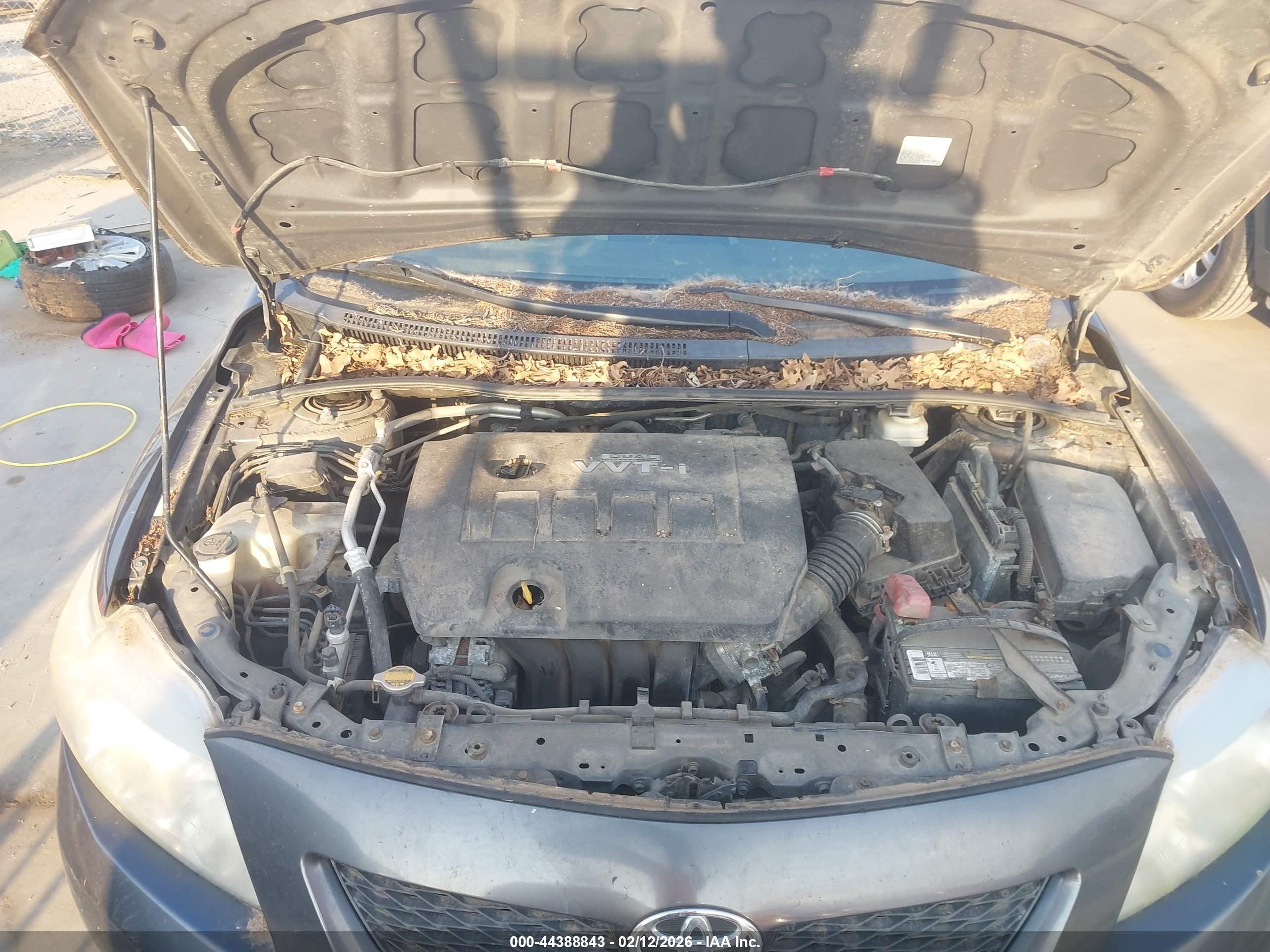 TOYOTA COROLLA image 10