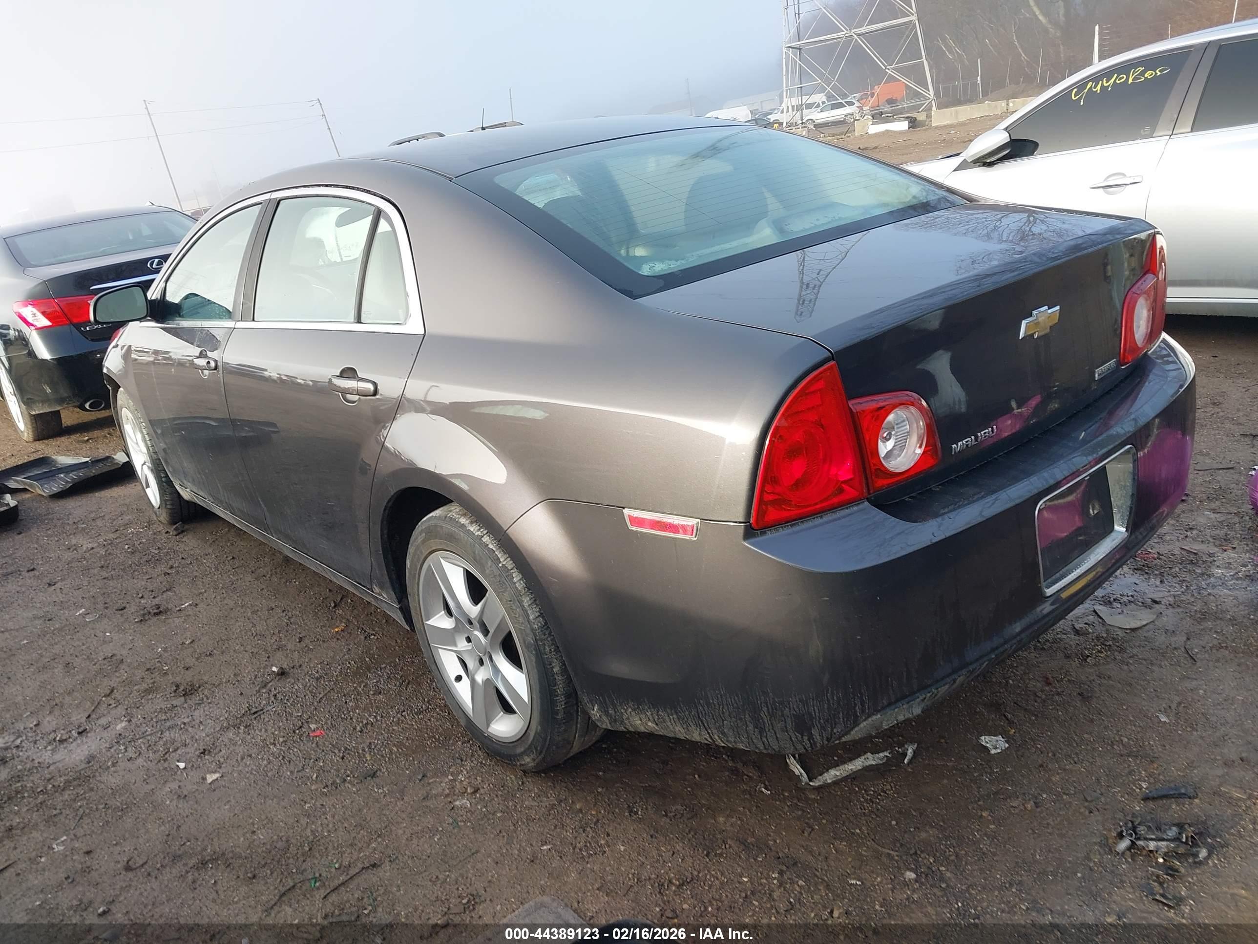 CHEVROLET MALIBU image 3