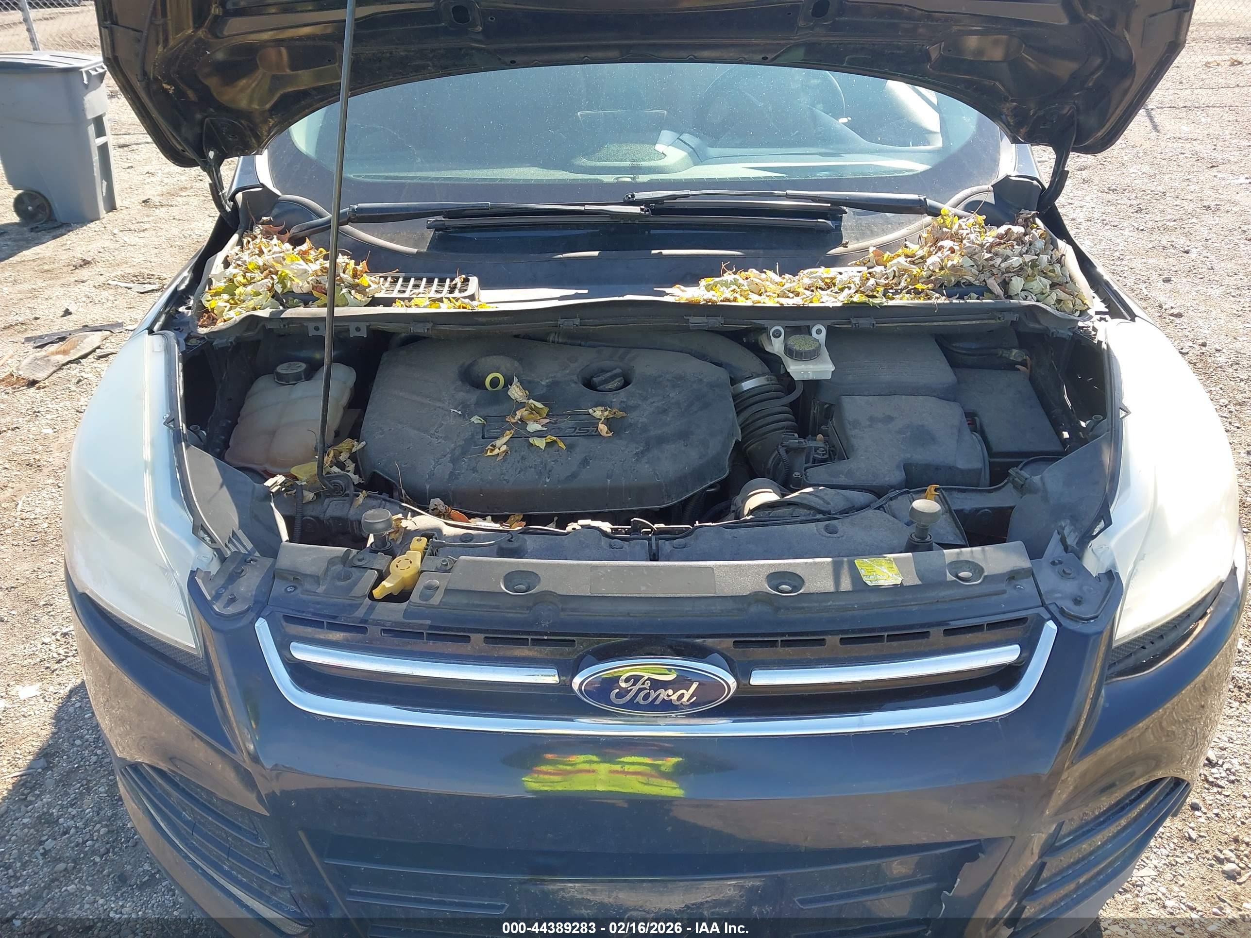 FORD ESCAPE image 10