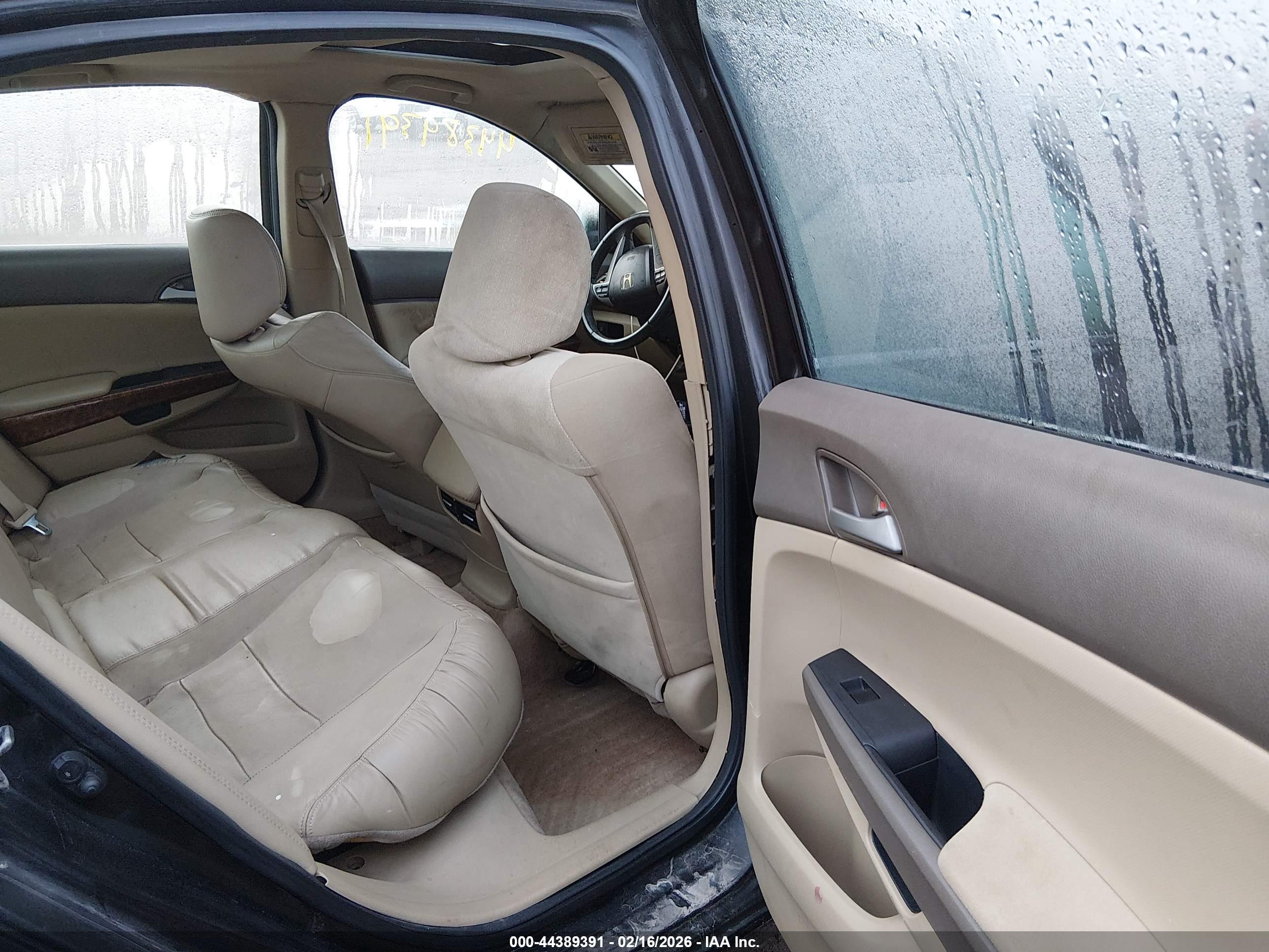 HONDA ACCORD image 8