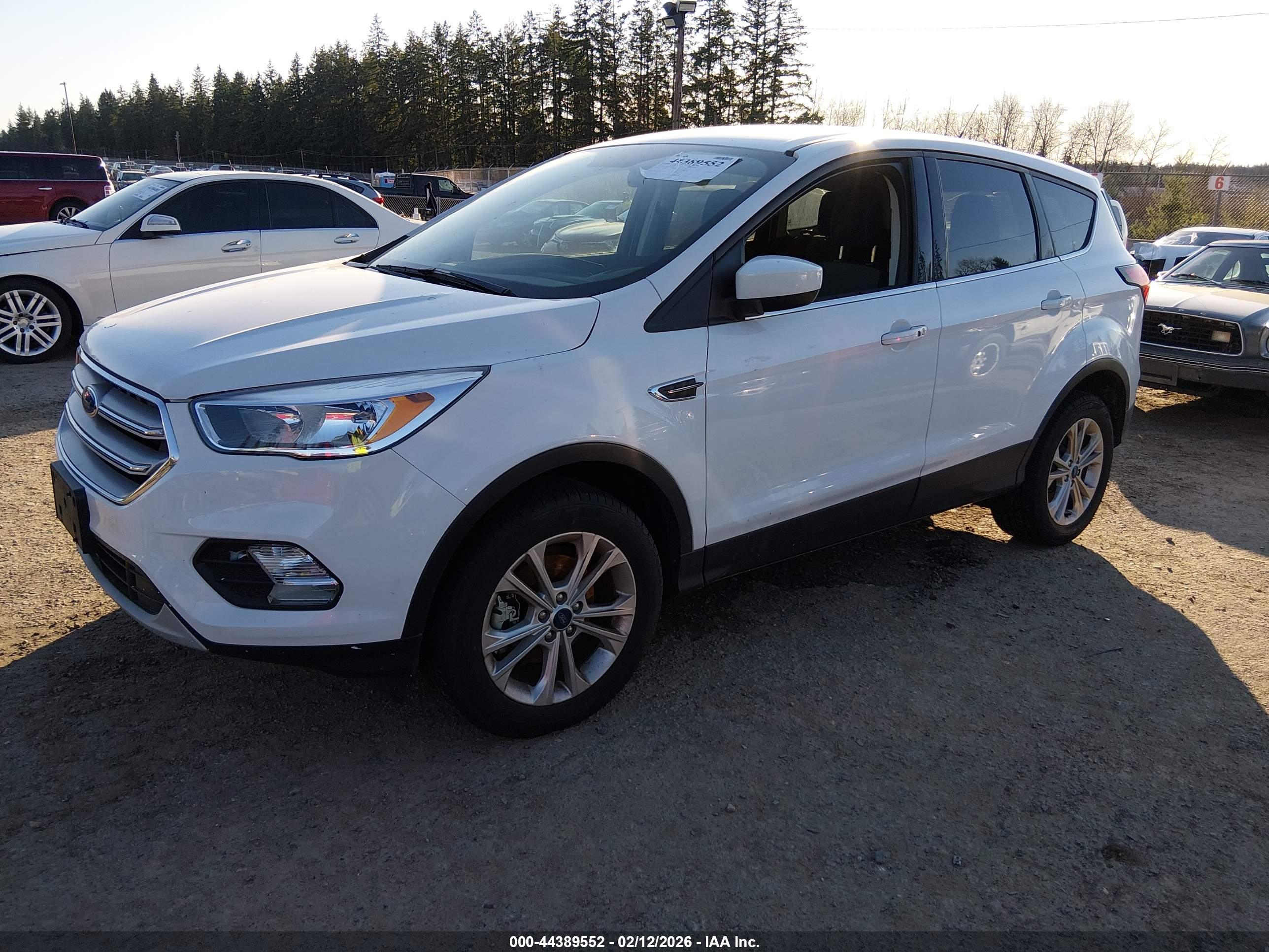 FORD ESCAPE image 2