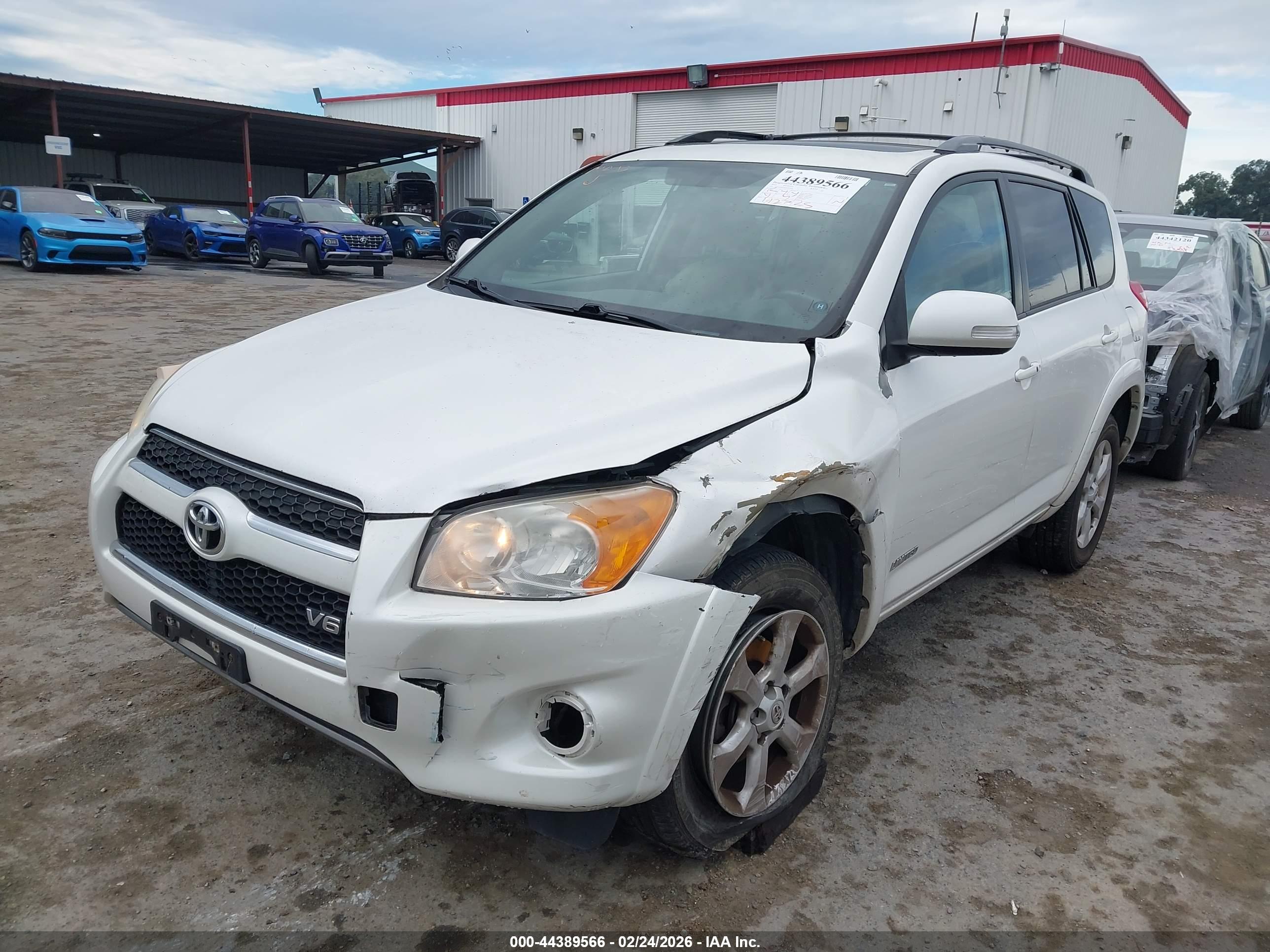 TOYOTA RAV4 image 6