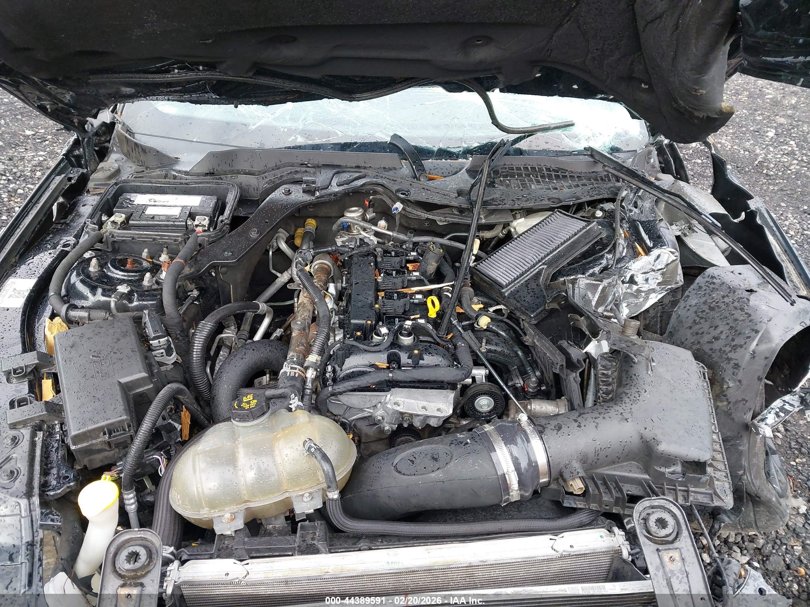 FORD MUSTANG image 10