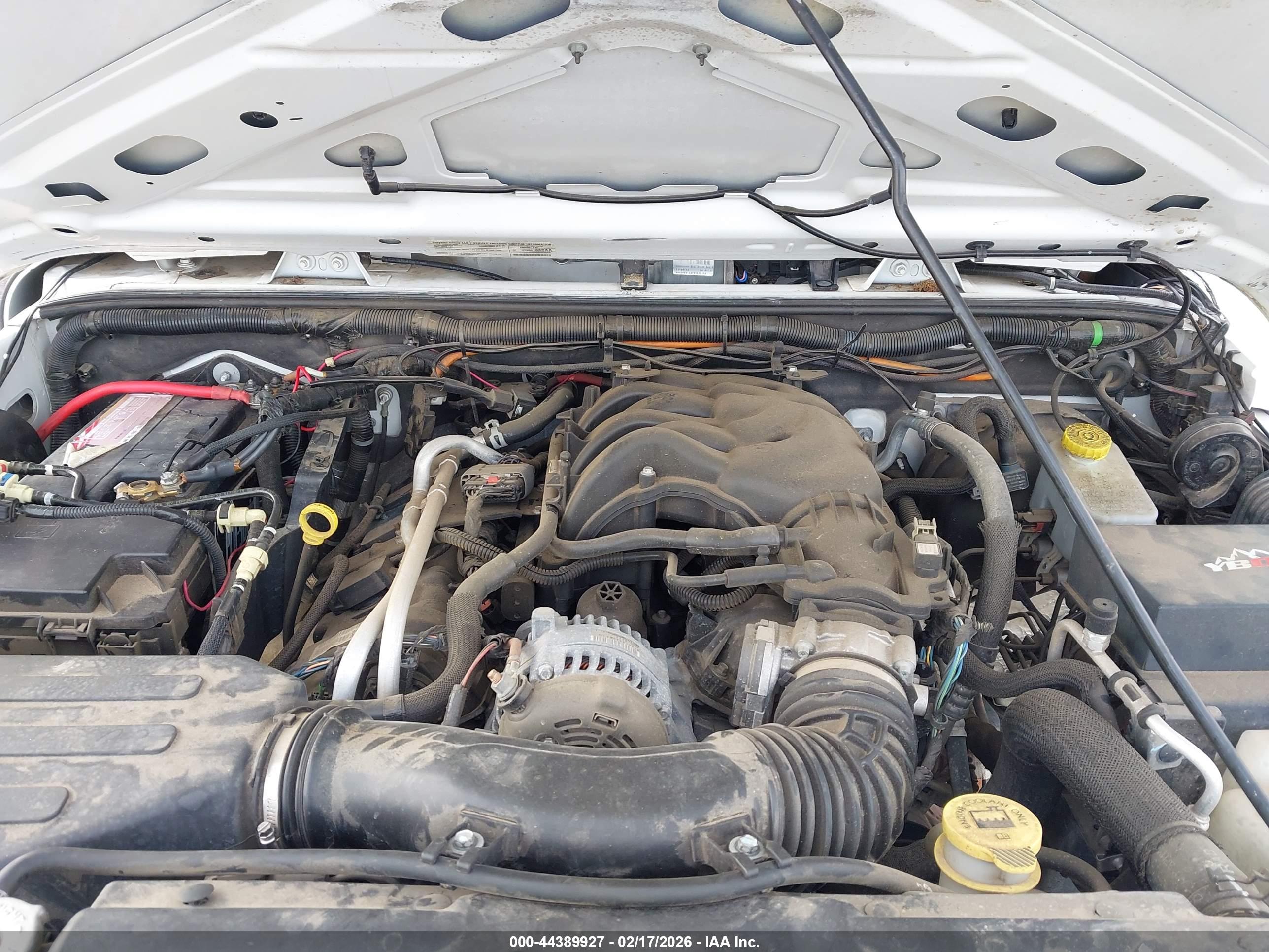 JEEP WRANGLER image 10