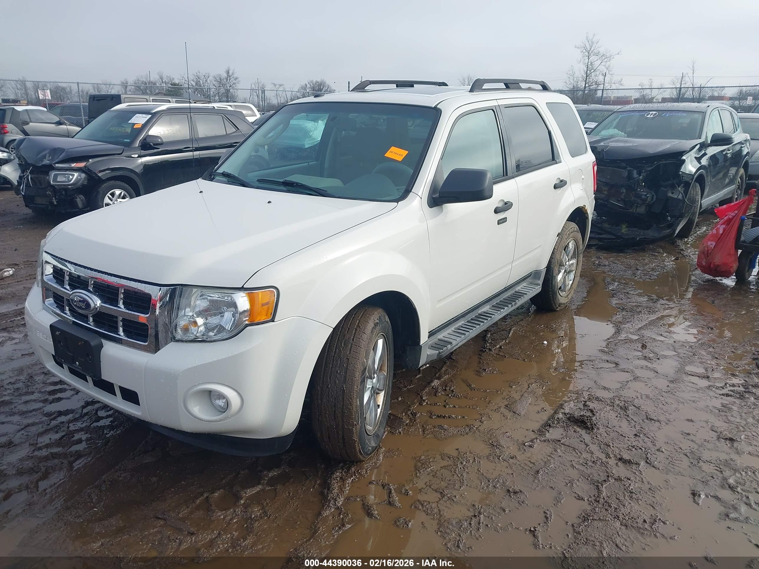 FORD ESCAPE image 2
