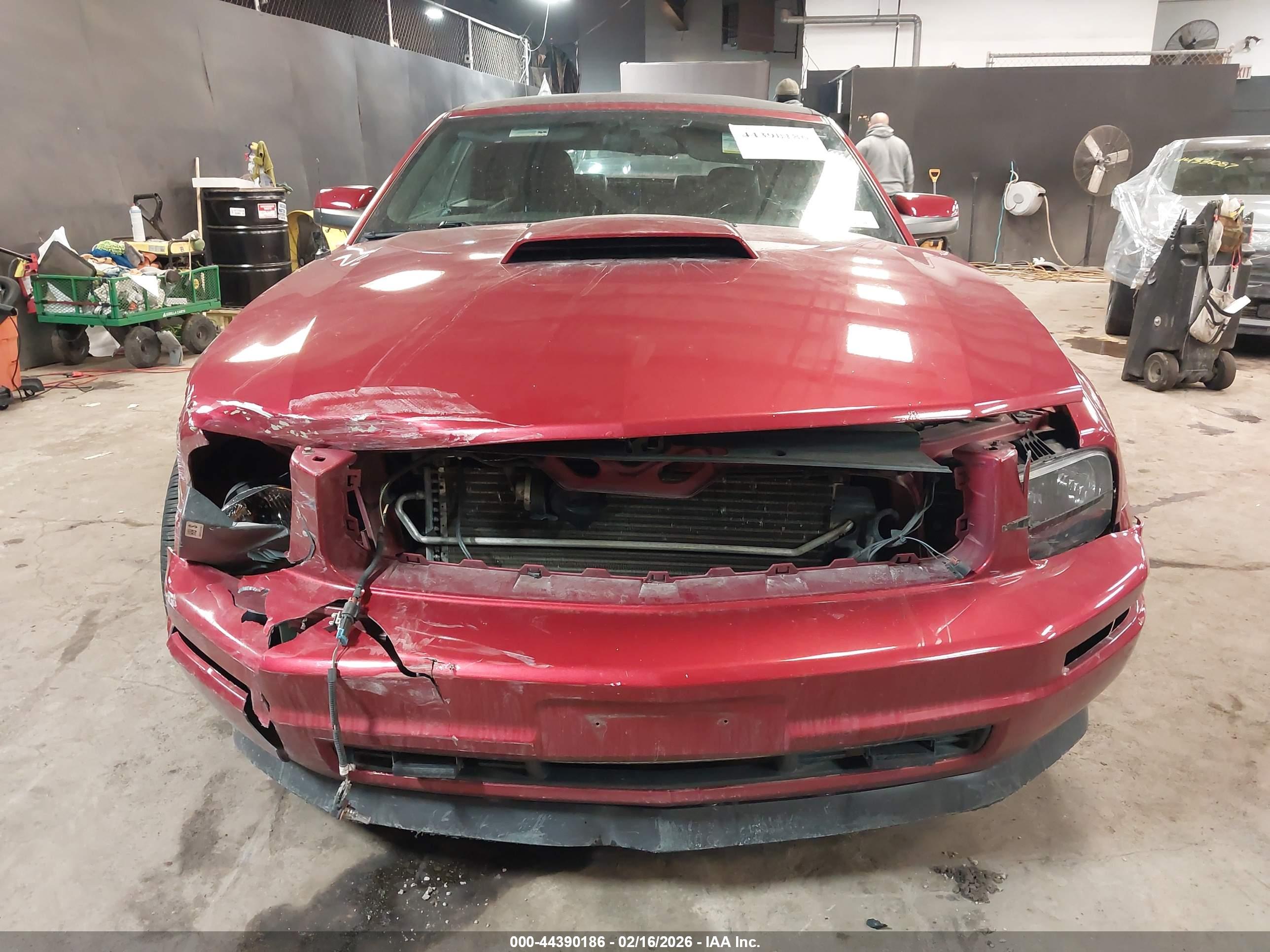 FORD MUSTANG image 6