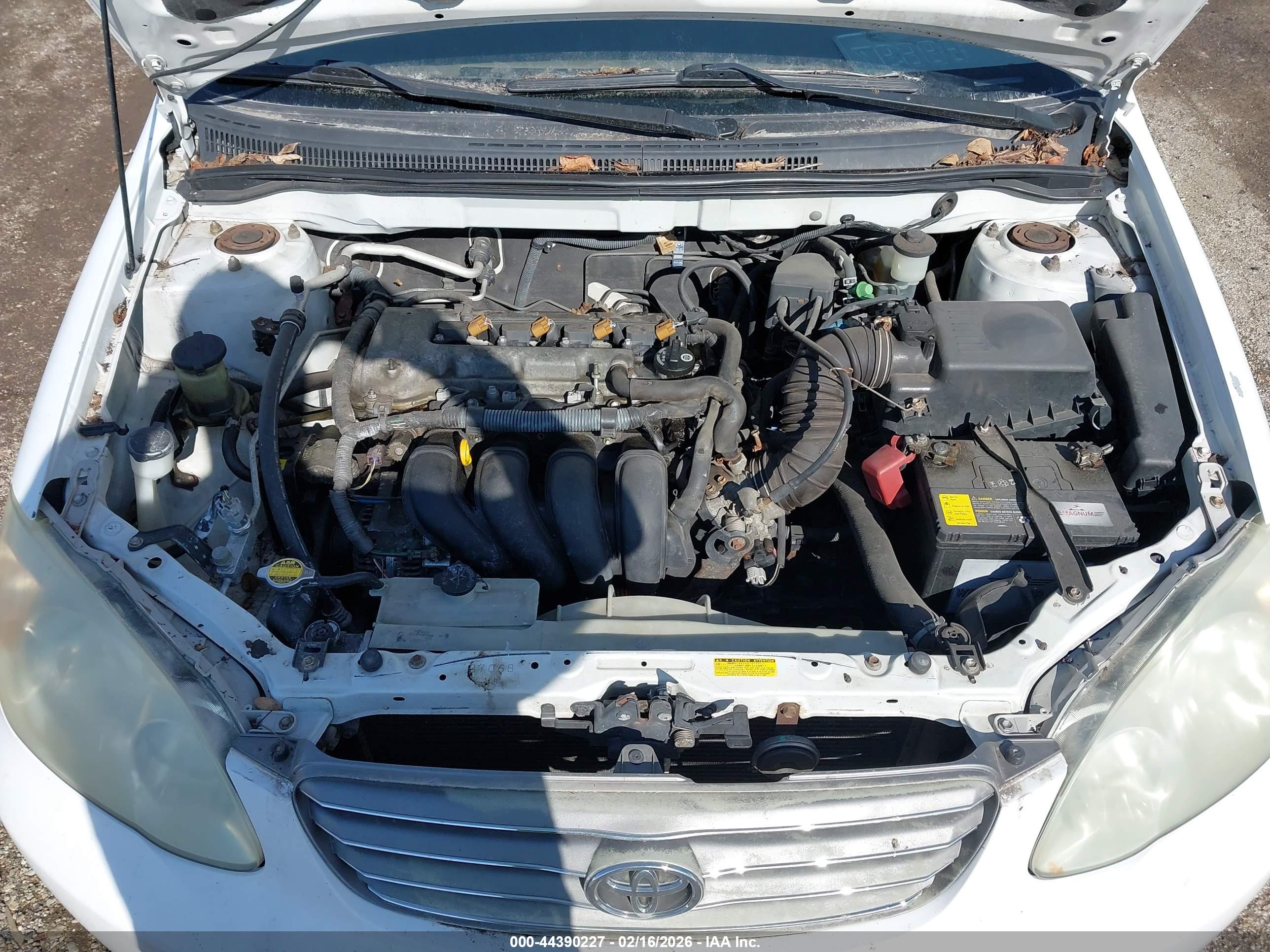 TOYOTA COROLLA image 10