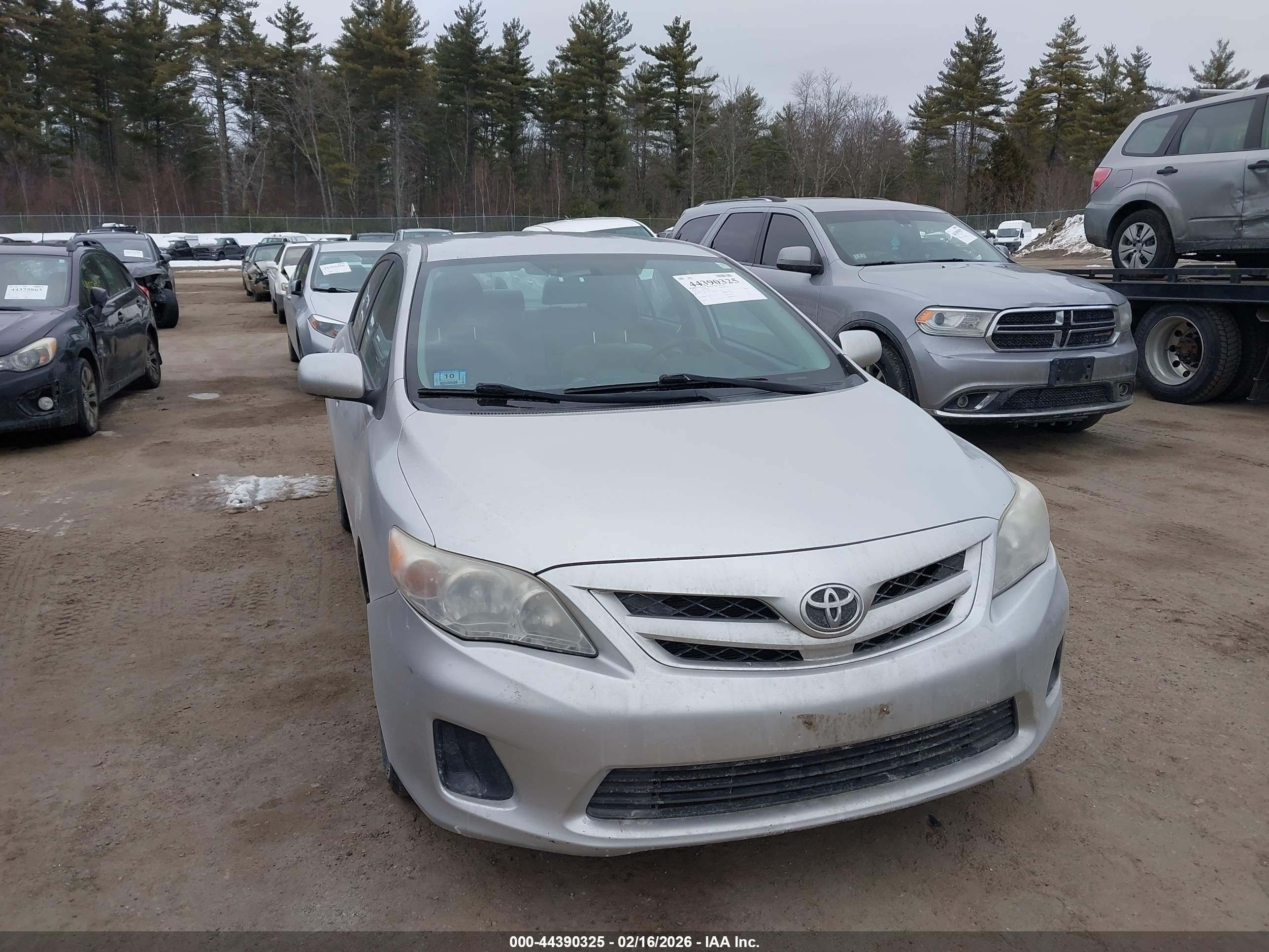 TOYOTA COROLLA image 6