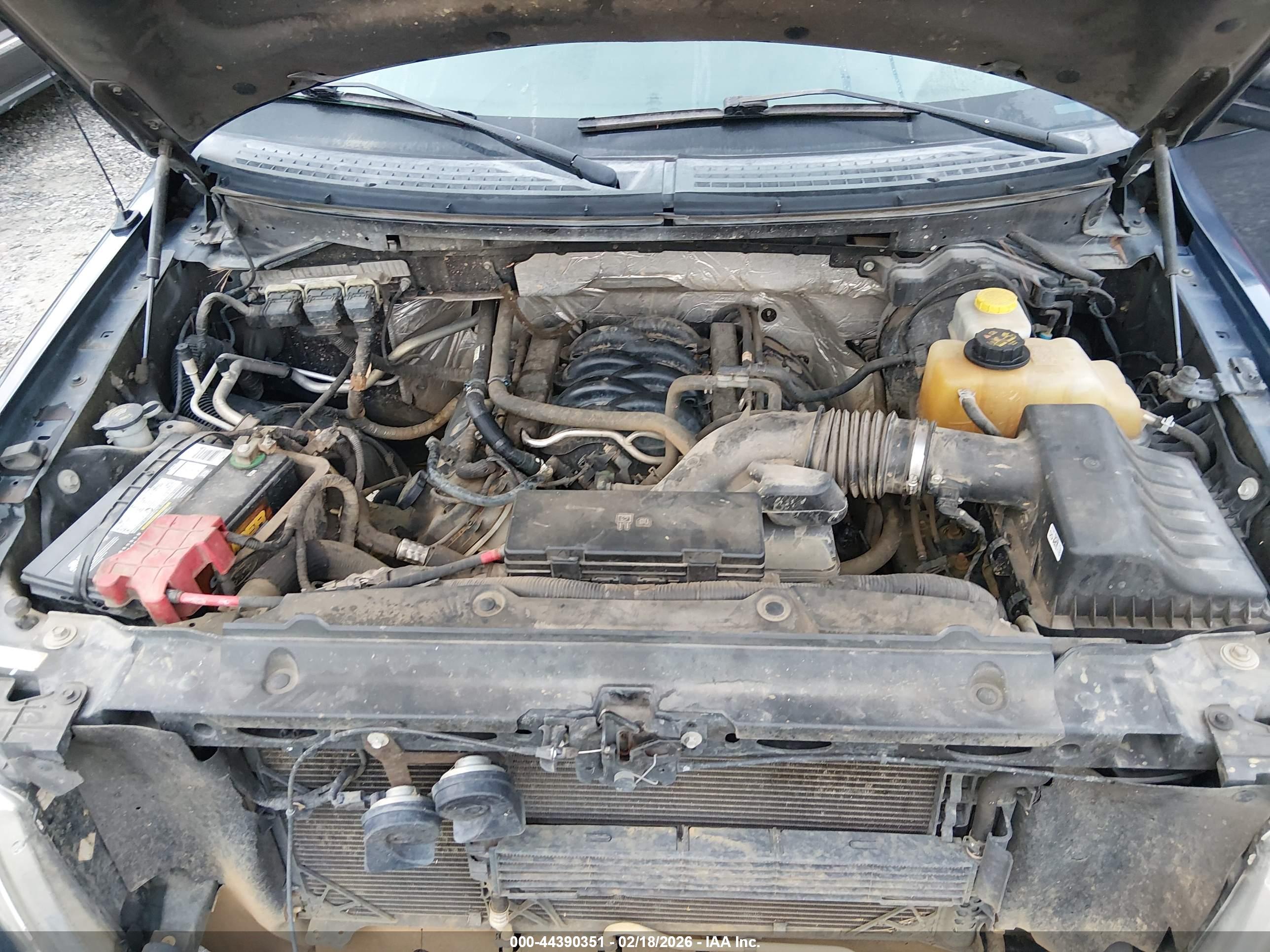 FORD F-150 image 10