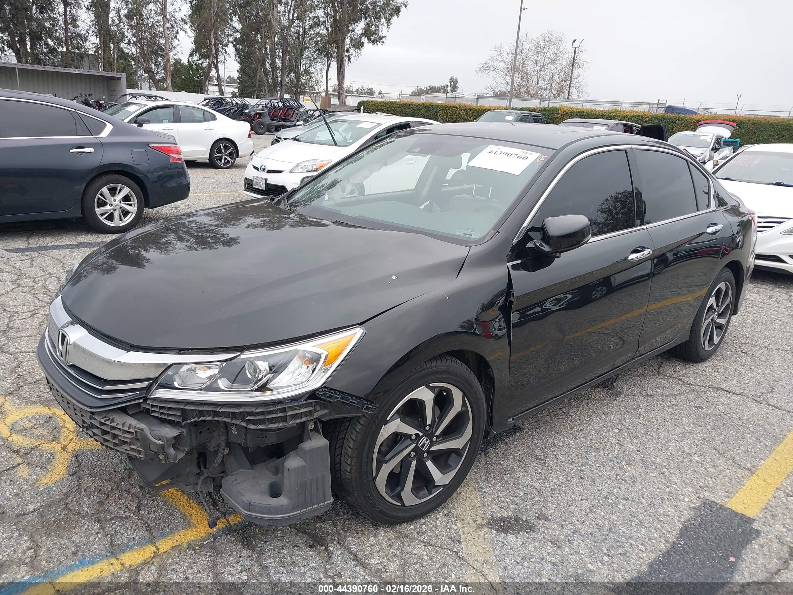 HONDA ACCORD image 2