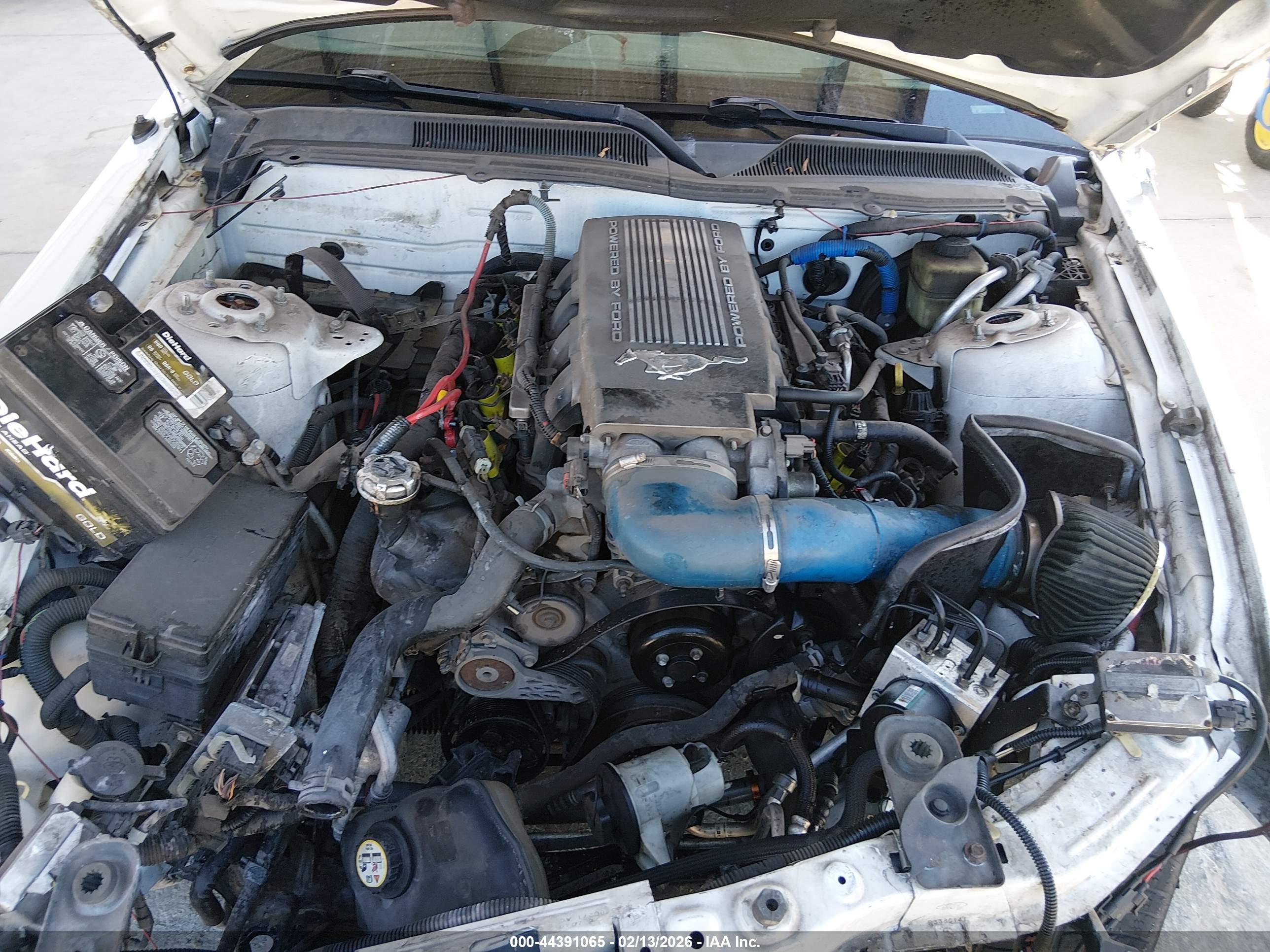 FORD MUSTANG image 10