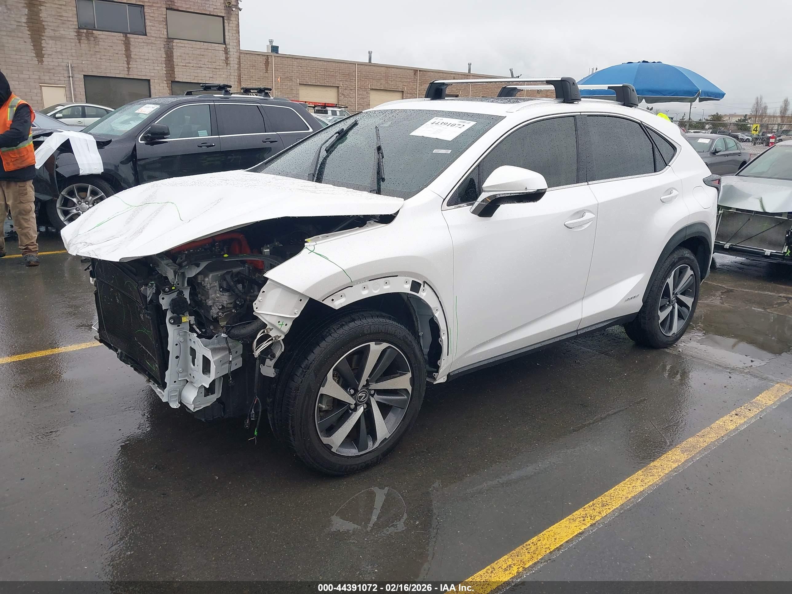 LEXUS NX image 2