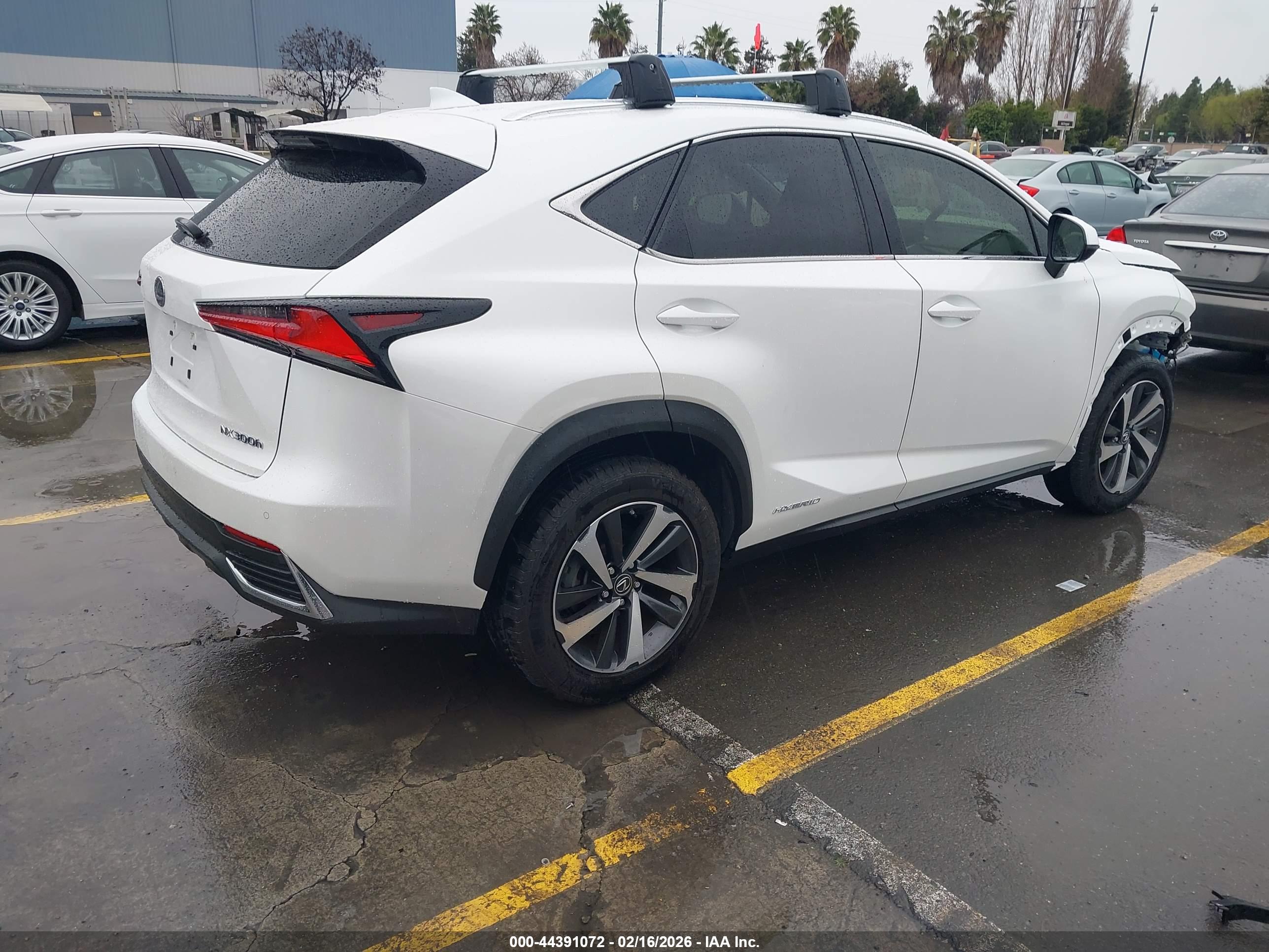 LEXUS NX image 4