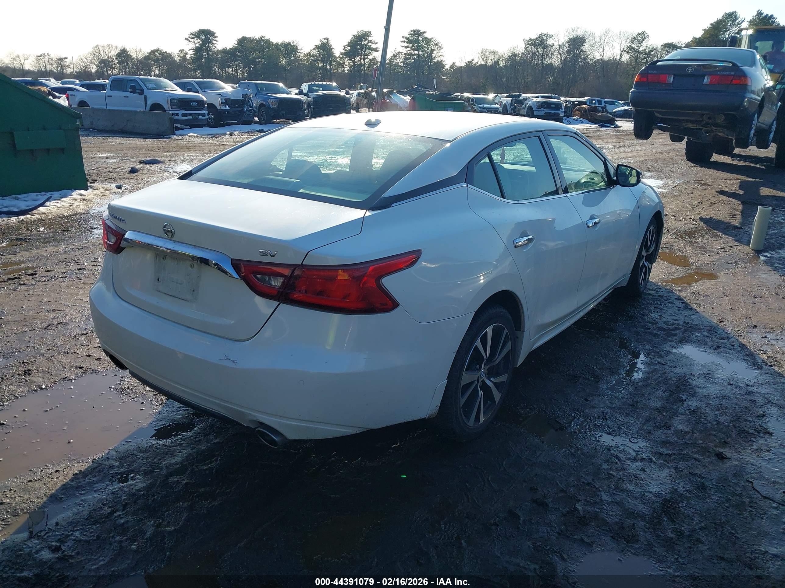 NISSAN MAXIMA image 4
