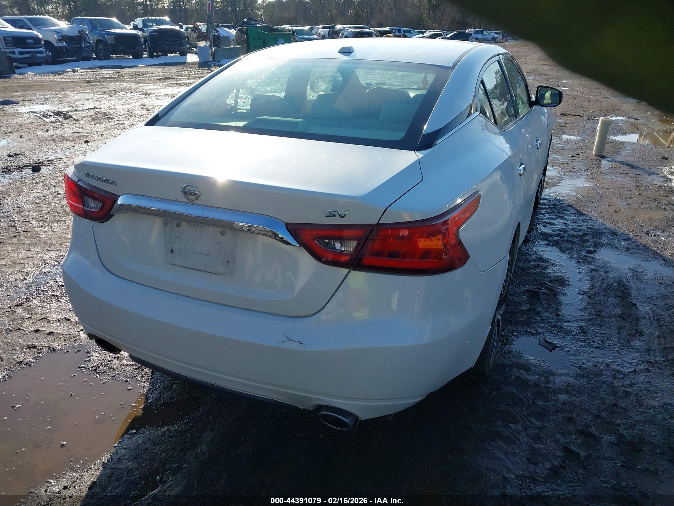 NISSAN MAXIMA image 6
