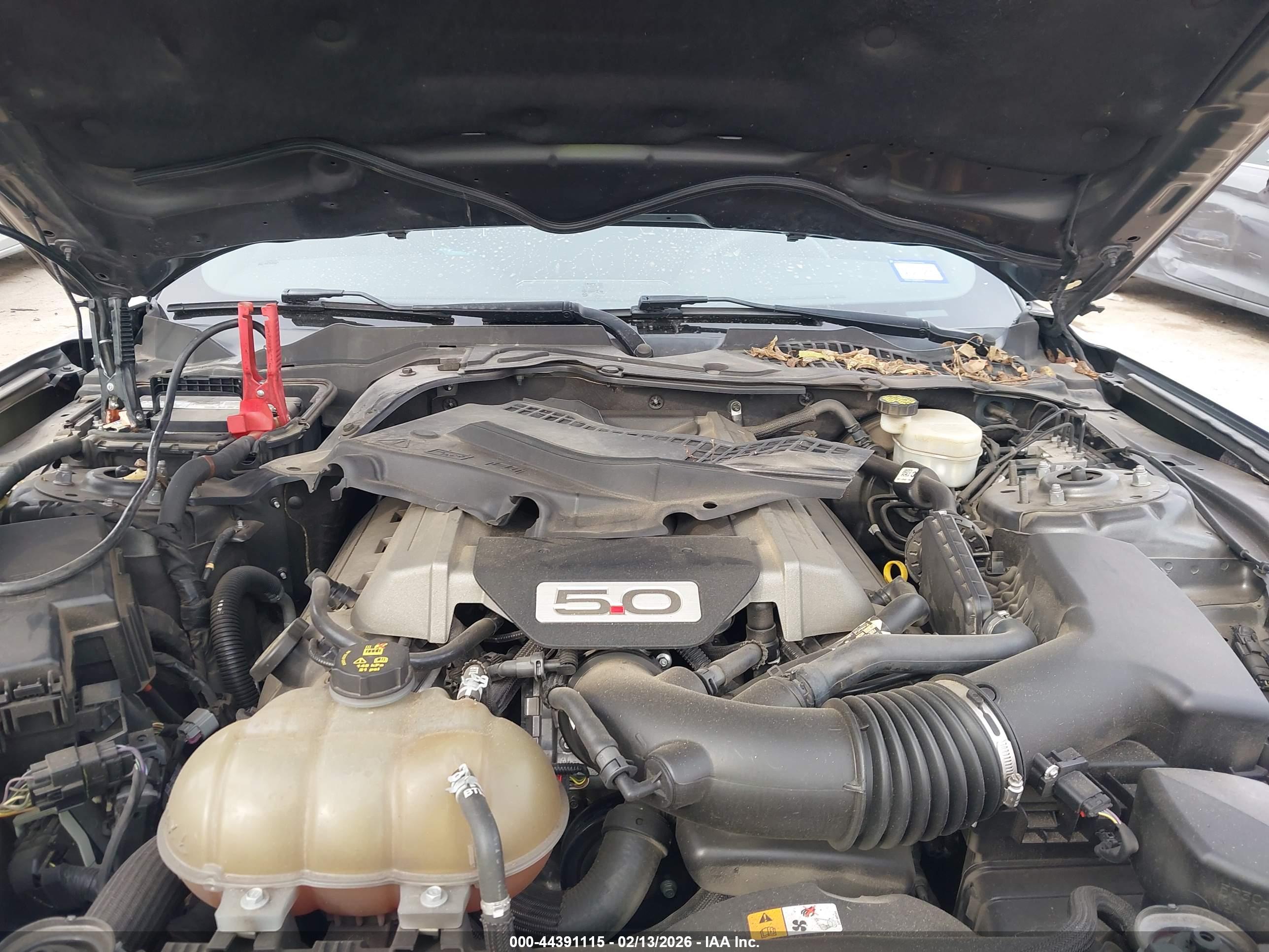FORD MUSTANG image 10