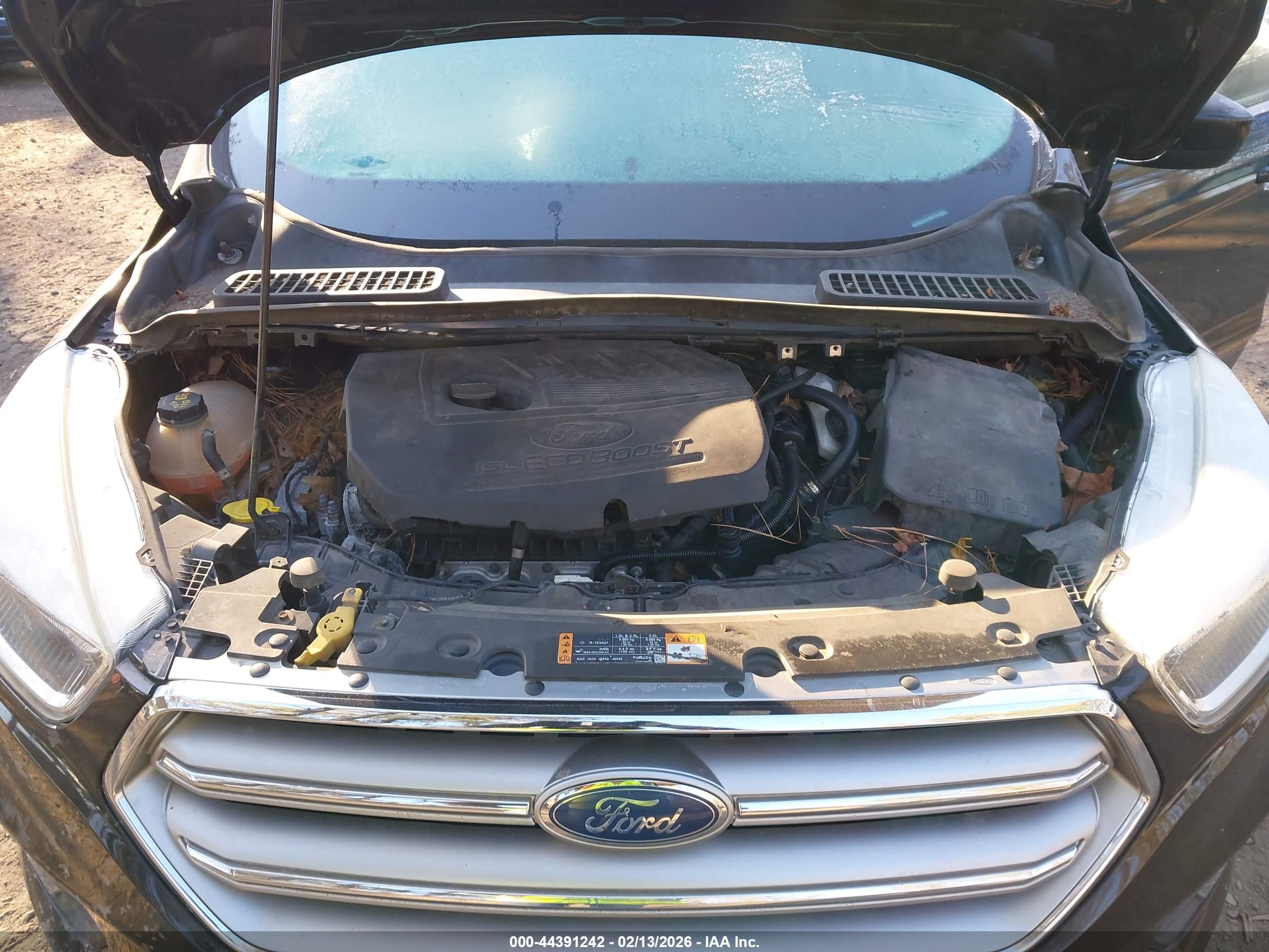 FORD ESCAPE image 10