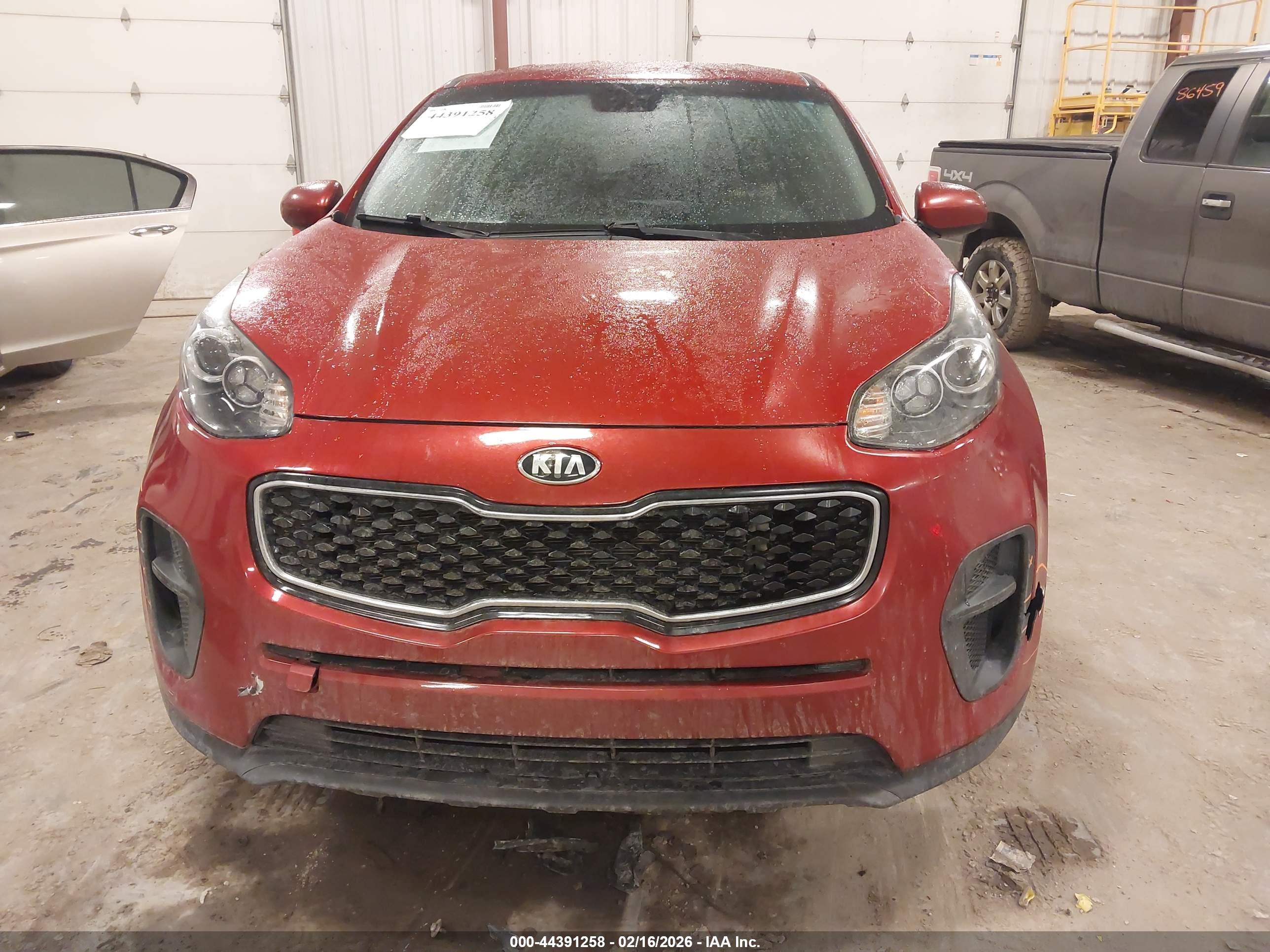 KIA SPORTAGE image 6