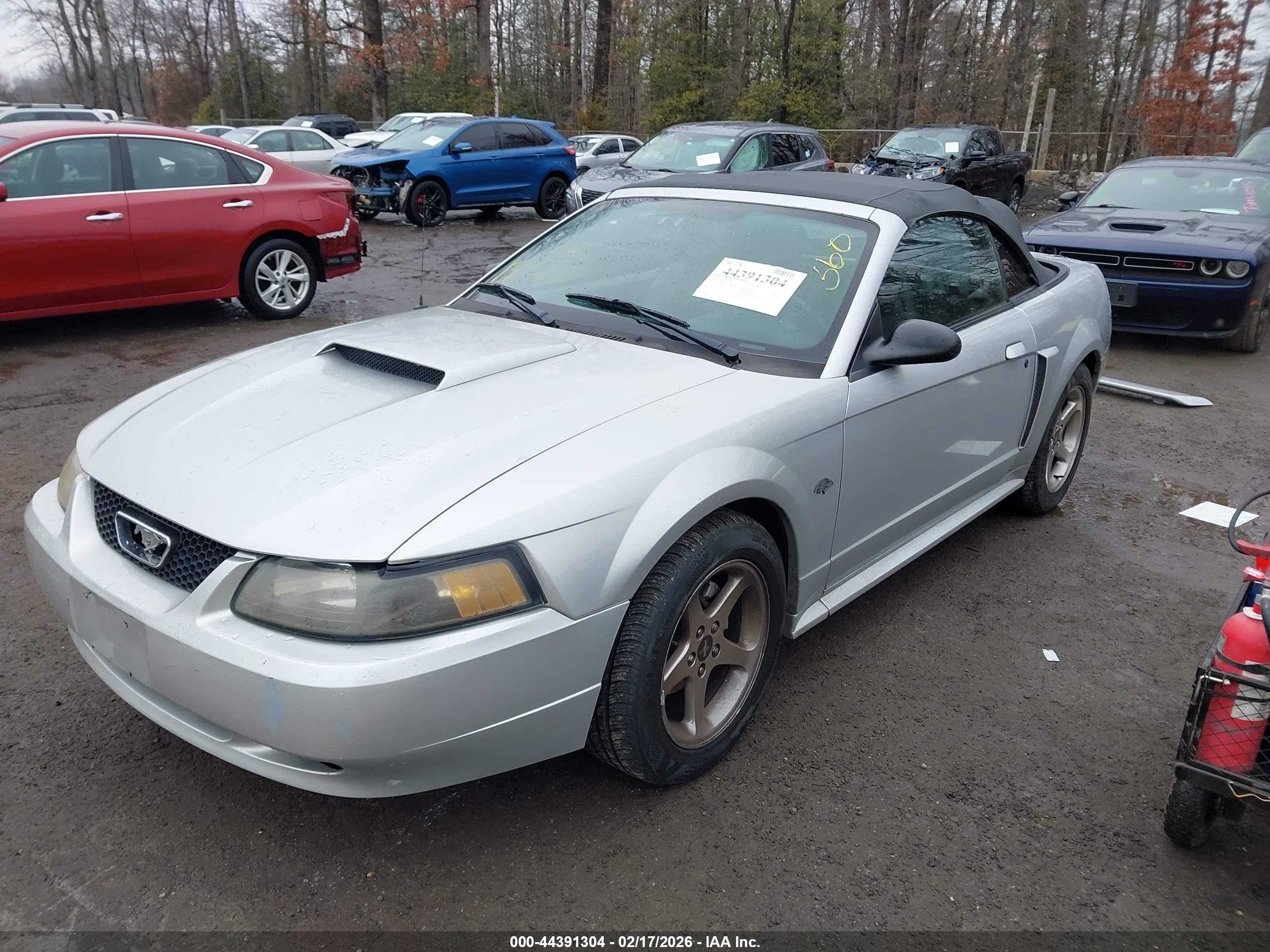 FORD MUSTANG image 2
