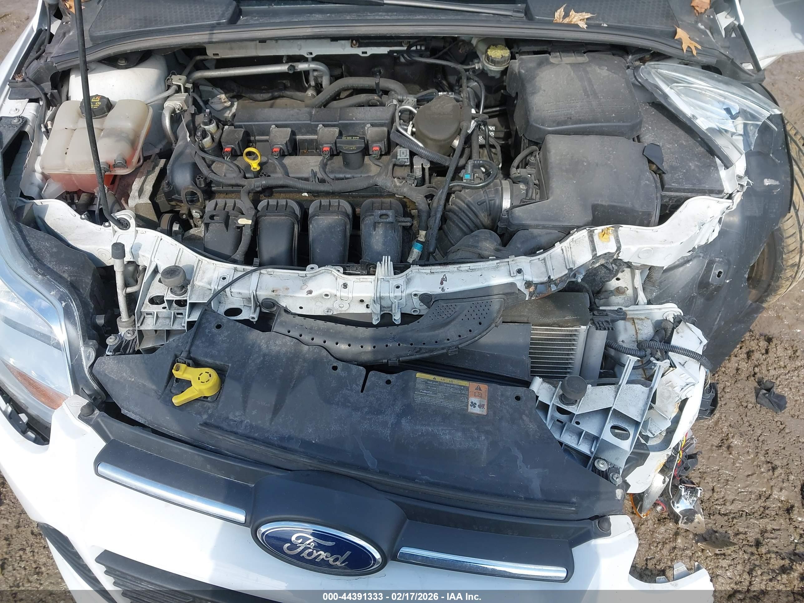 FORD FOCUS image 10