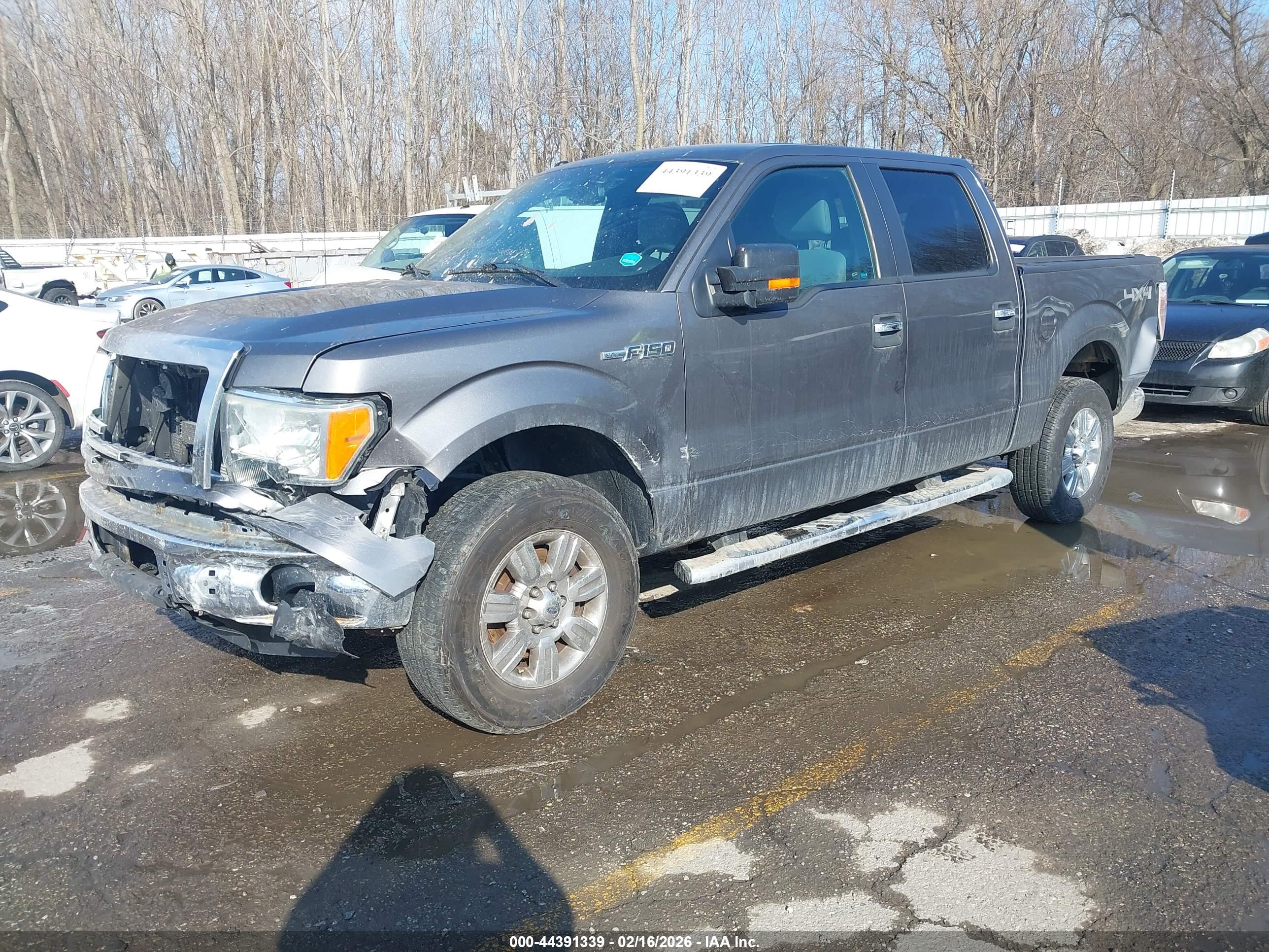 FORD F-150 image 2